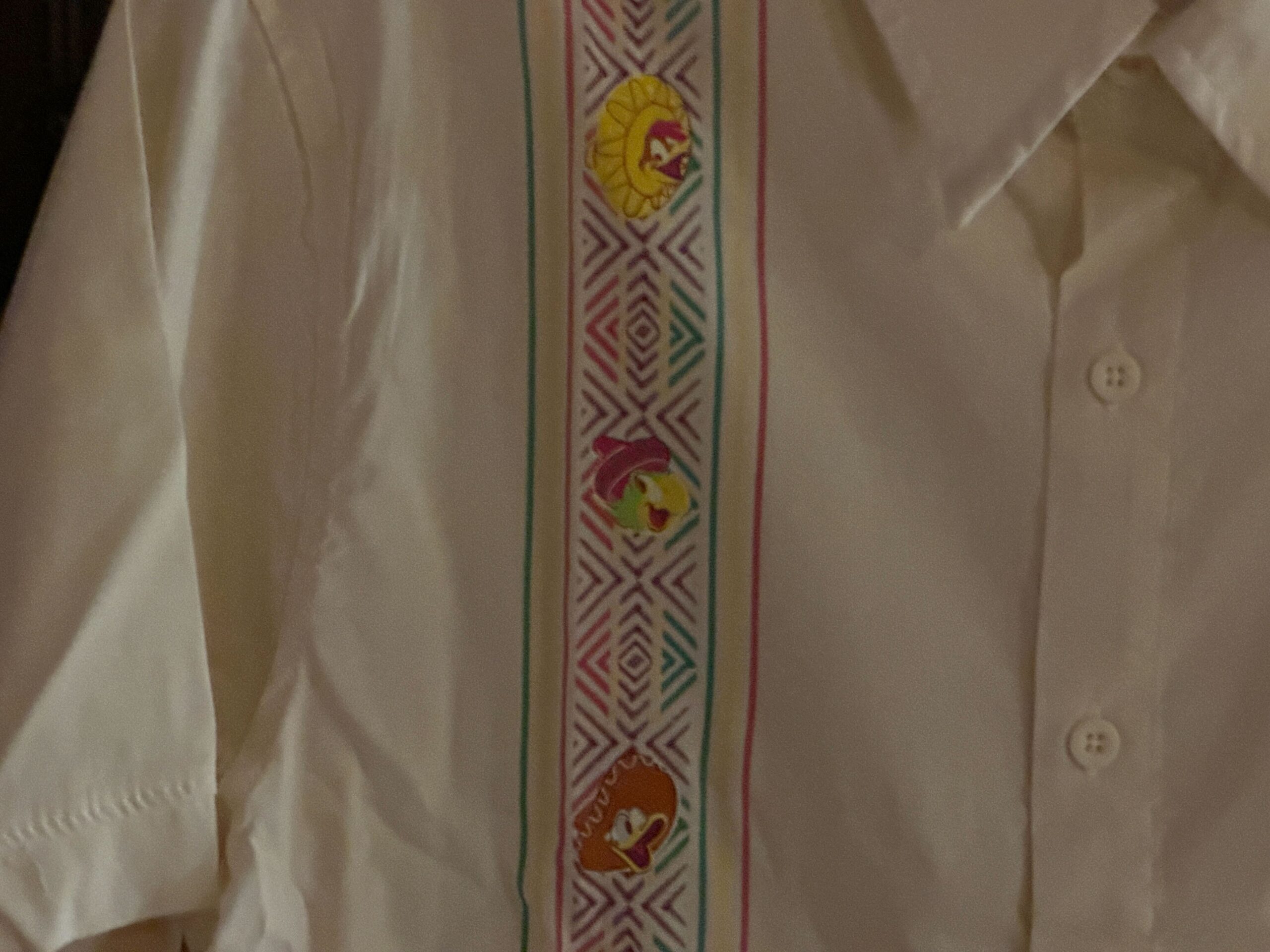 Close-up of front of Collared Shirt.