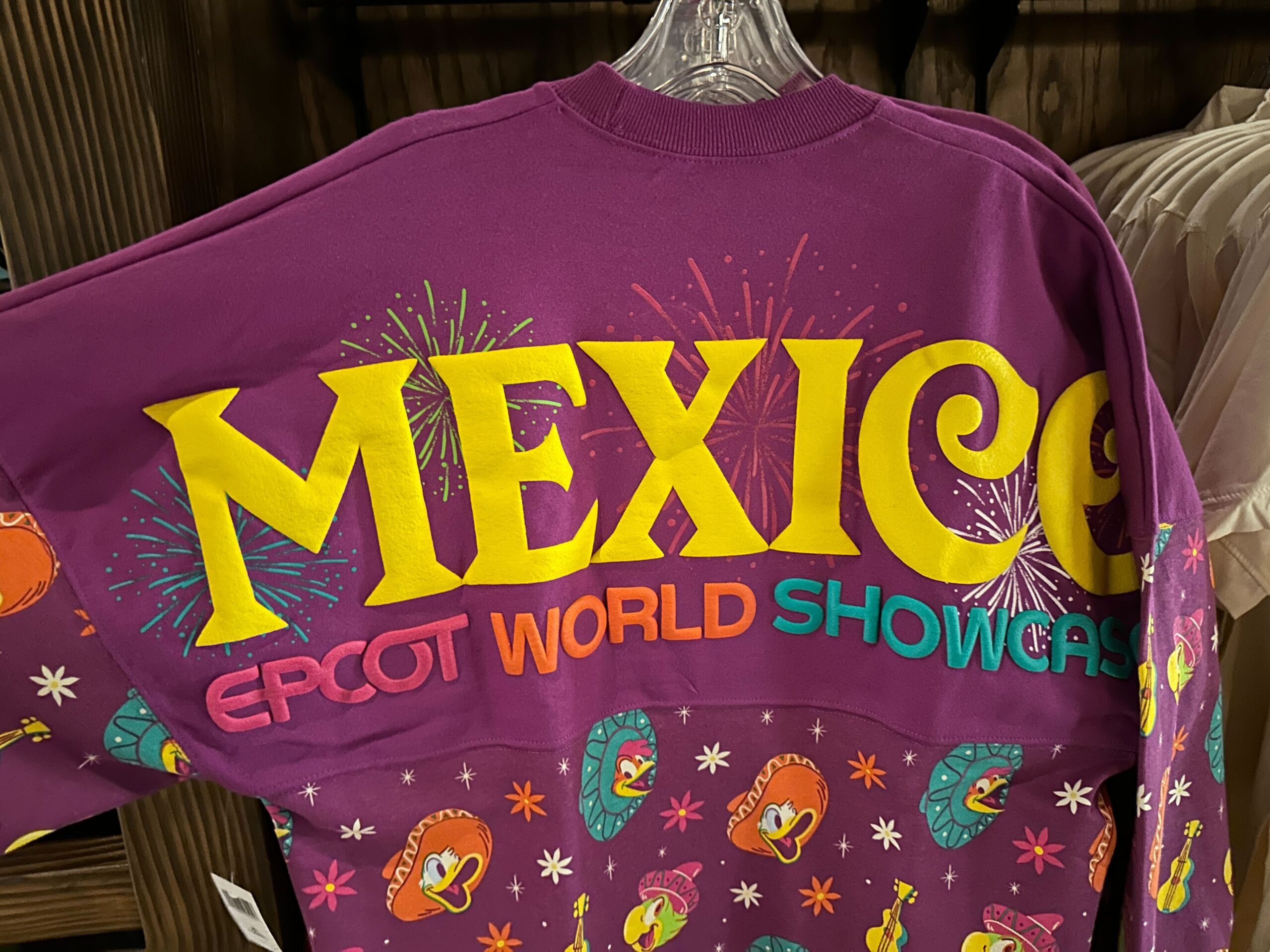 Close-up of back of Spirit Jersey.