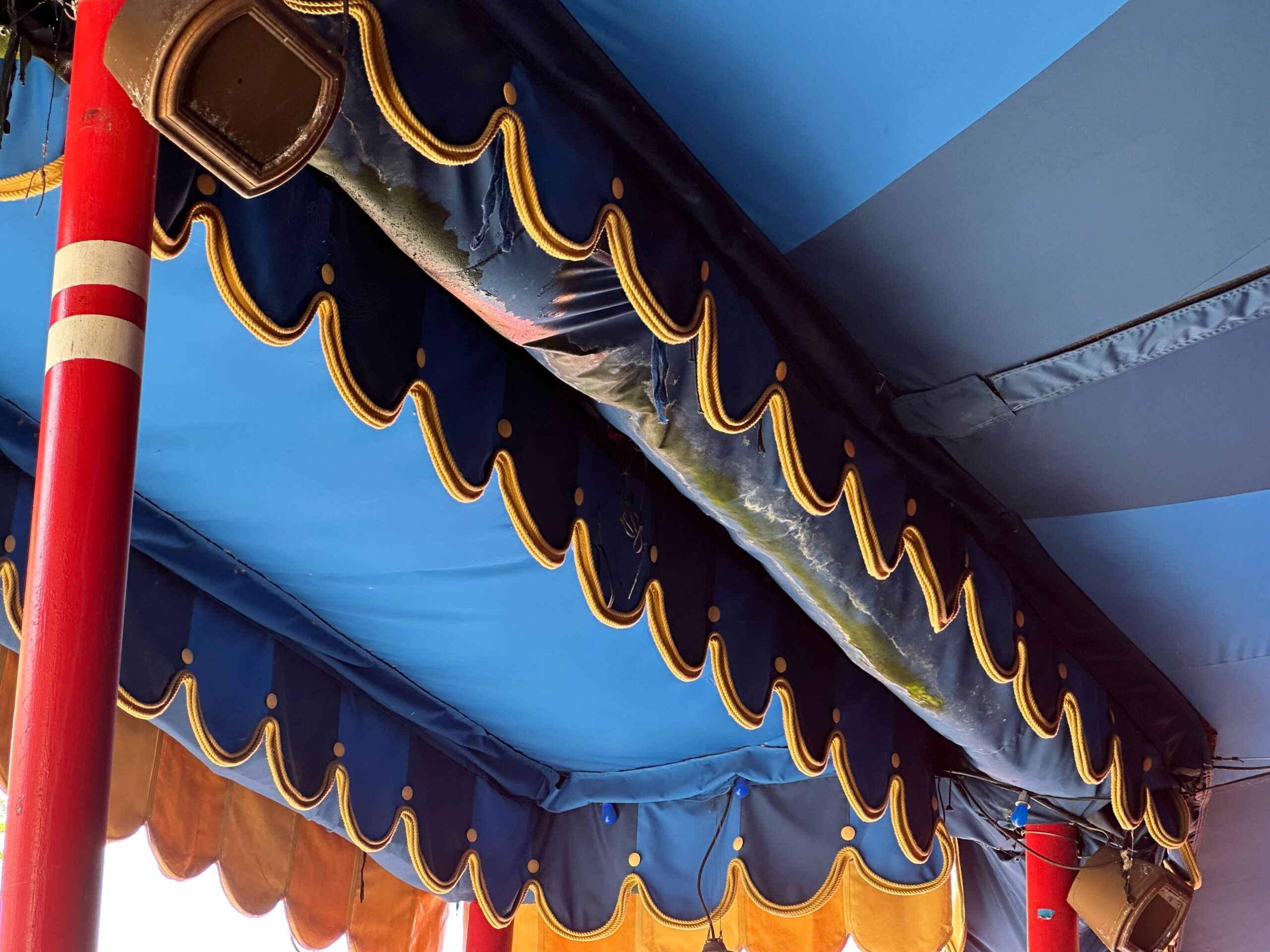 We spotted a gross green substance accumulating on a tent in Storybook Circus at Magic Kingdom.