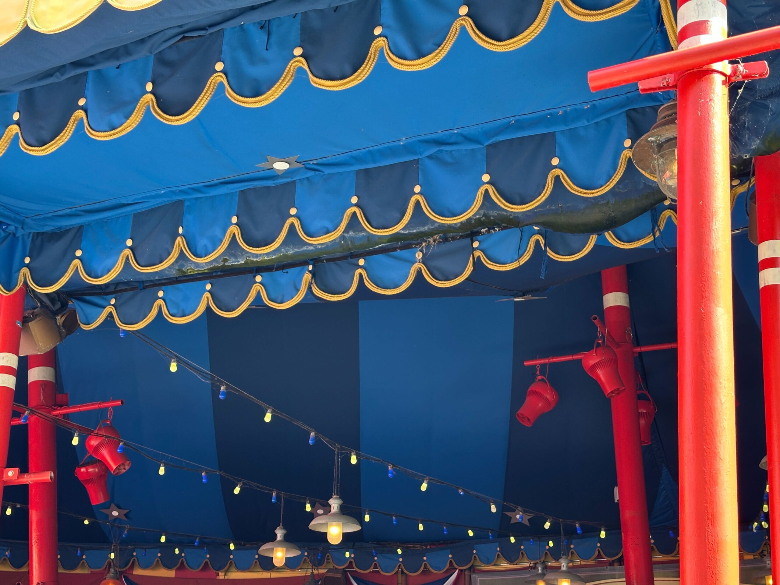 We spotted a gross green substance accumulating on a tent in Storybook Circus at Magic Kingdom.
