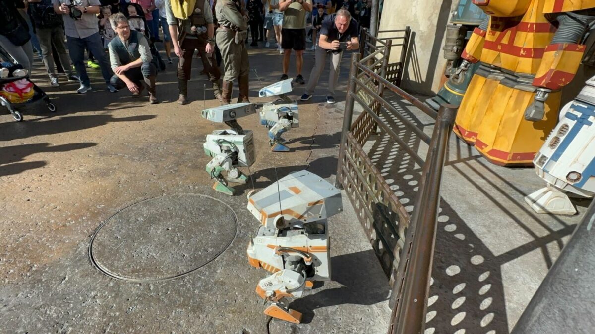 BDX droids testing at Disneyland in 2023.