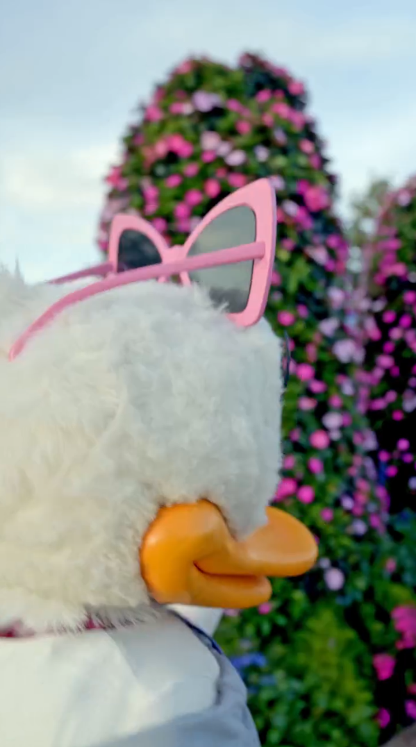 Daisy Duck strutted her stuff around EPCOT's International Flower & Garden Festival to celebrate The Devil Wears Prada 2