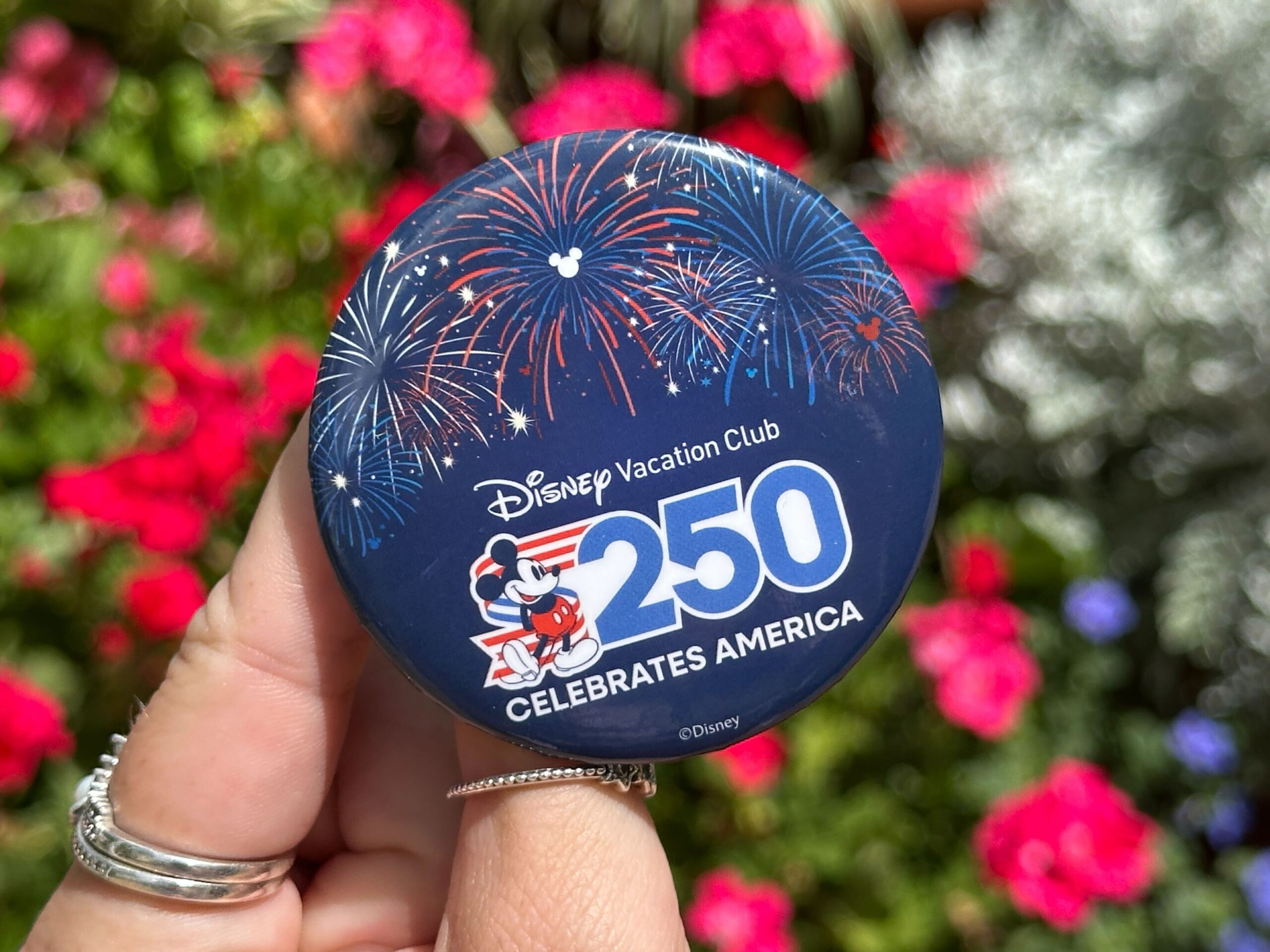 Disney Vacation Club Members can now pick up a free America 250 commemorative button at select Walt Disney World resorts.