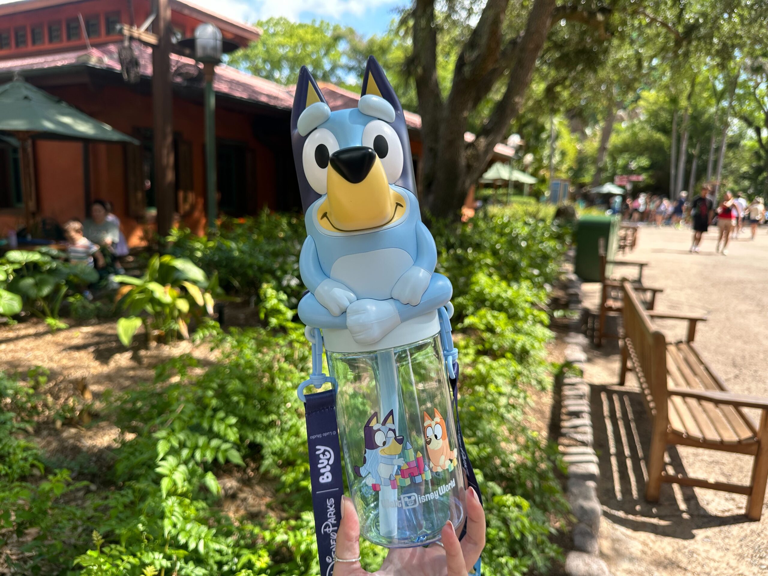 The sipper is a clear blue color. There is a limit of two per person, per transaction. It's available while supplies last.