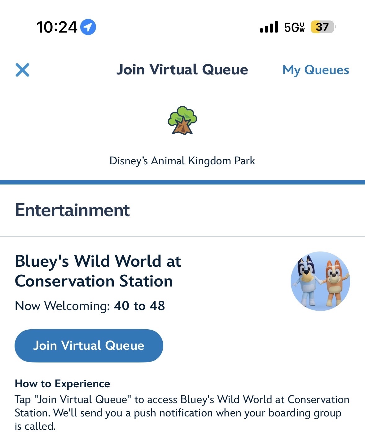 Bluey Virtual Queue Still Available to Join After 10 AM Slot Opens ...