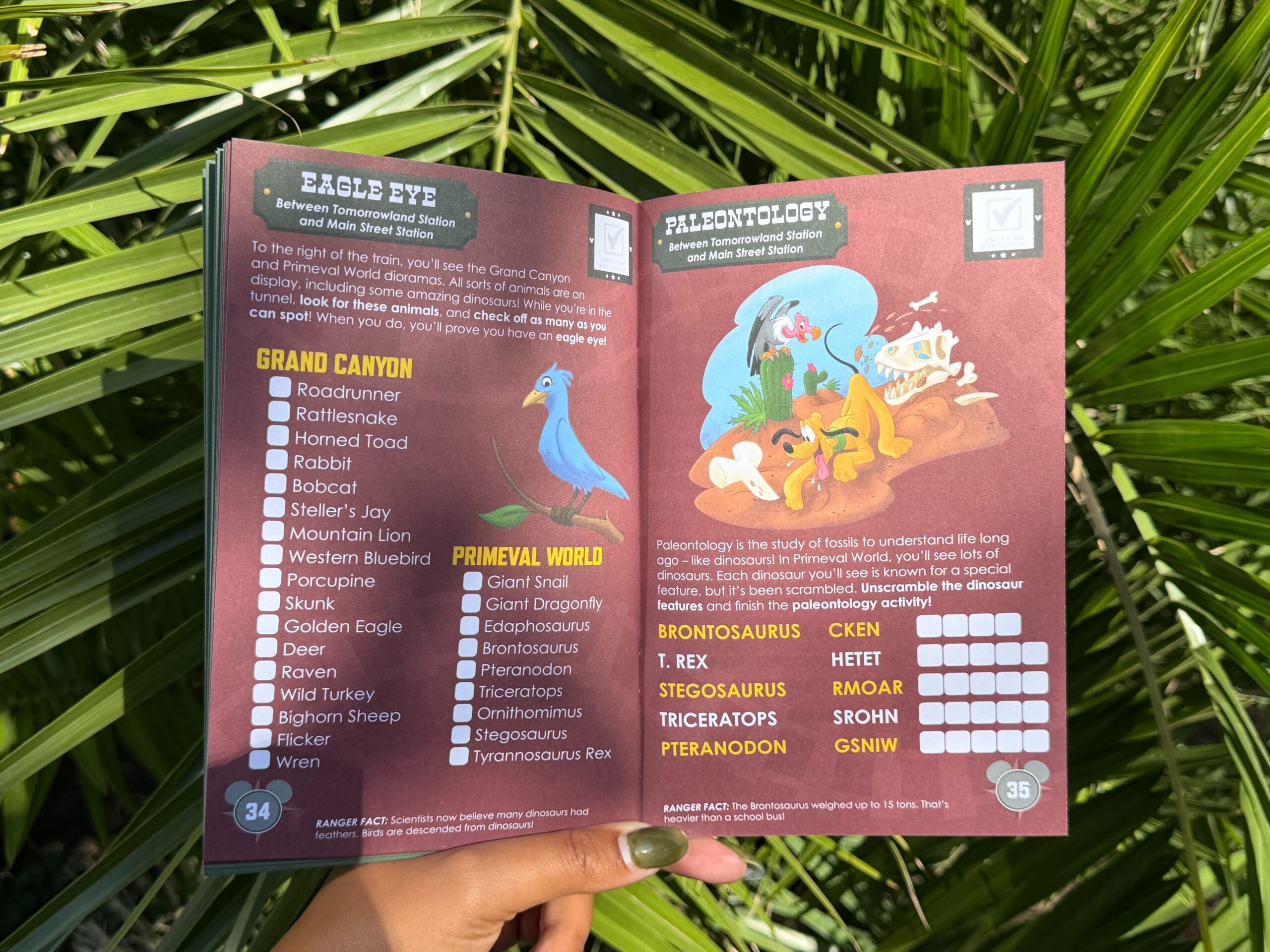 Disneyland Resort is offering a new complimentary “Mickey’s Park Rangers” activity book