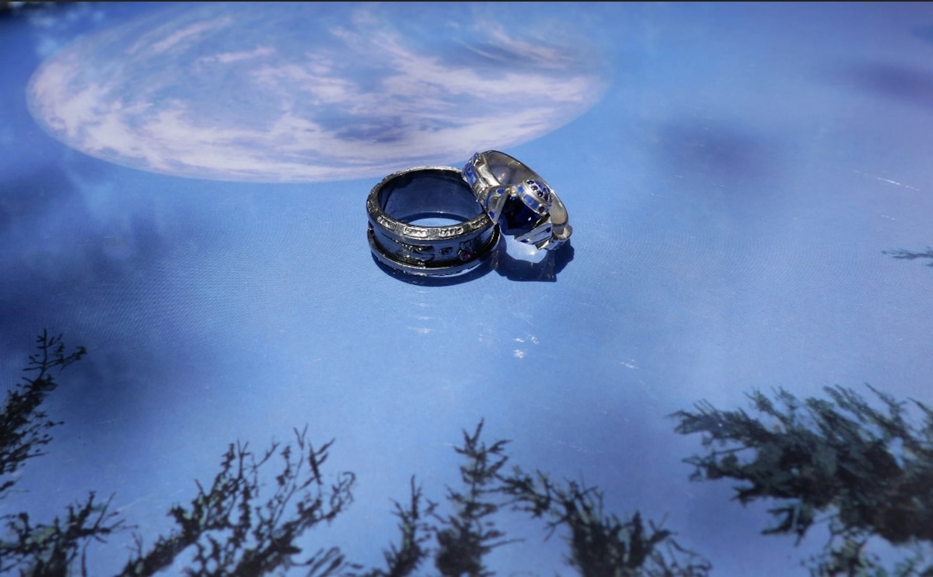 Jennifer and her husband's Star Wars themed wedding rings.