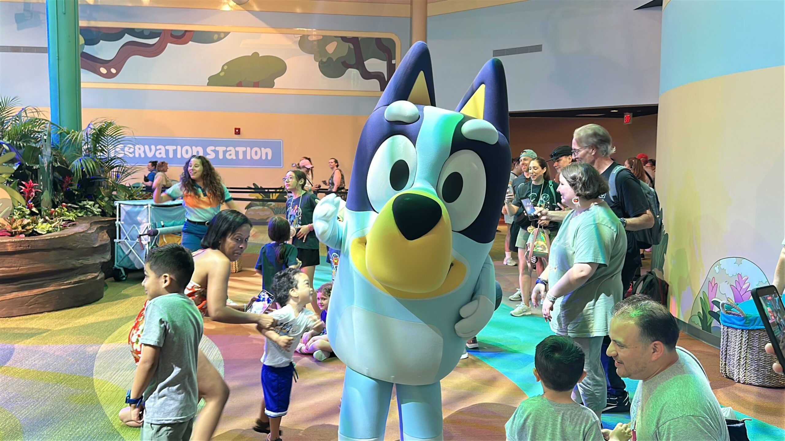 Bluey Virtual Queue Still Available to Join After 10 AM Slot Opens ...