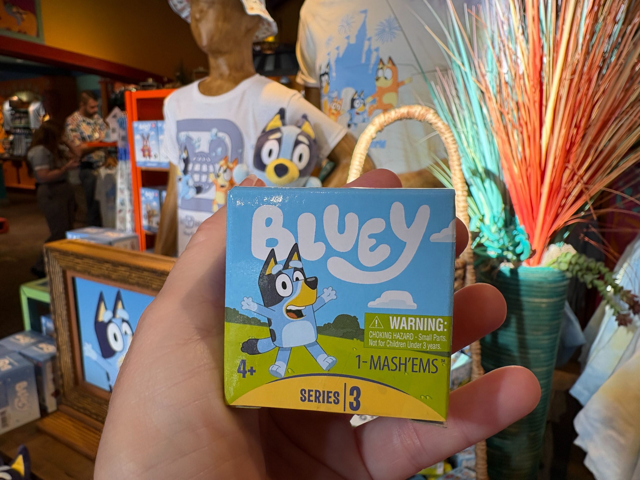 'Bluey' Merchandise Arrives at Disney's Animal Kingdom - WDW News Today