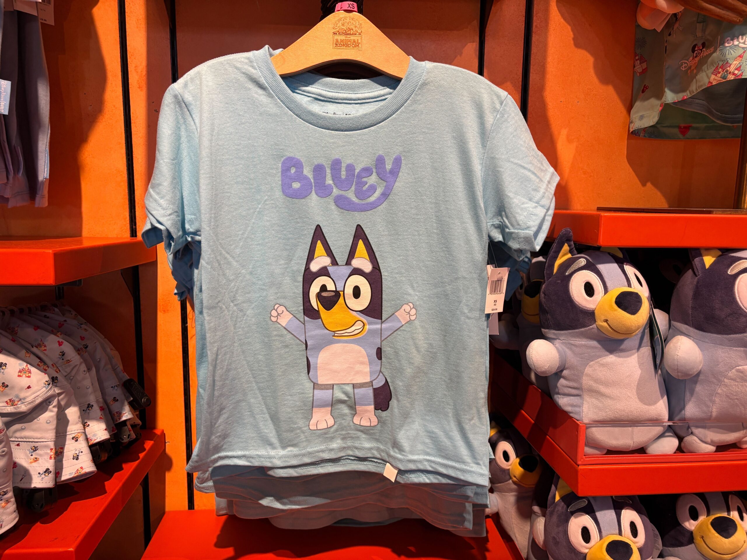 'Bluey' Merchandise Arrives at Disney's Animal Kingdom - WDW News Today