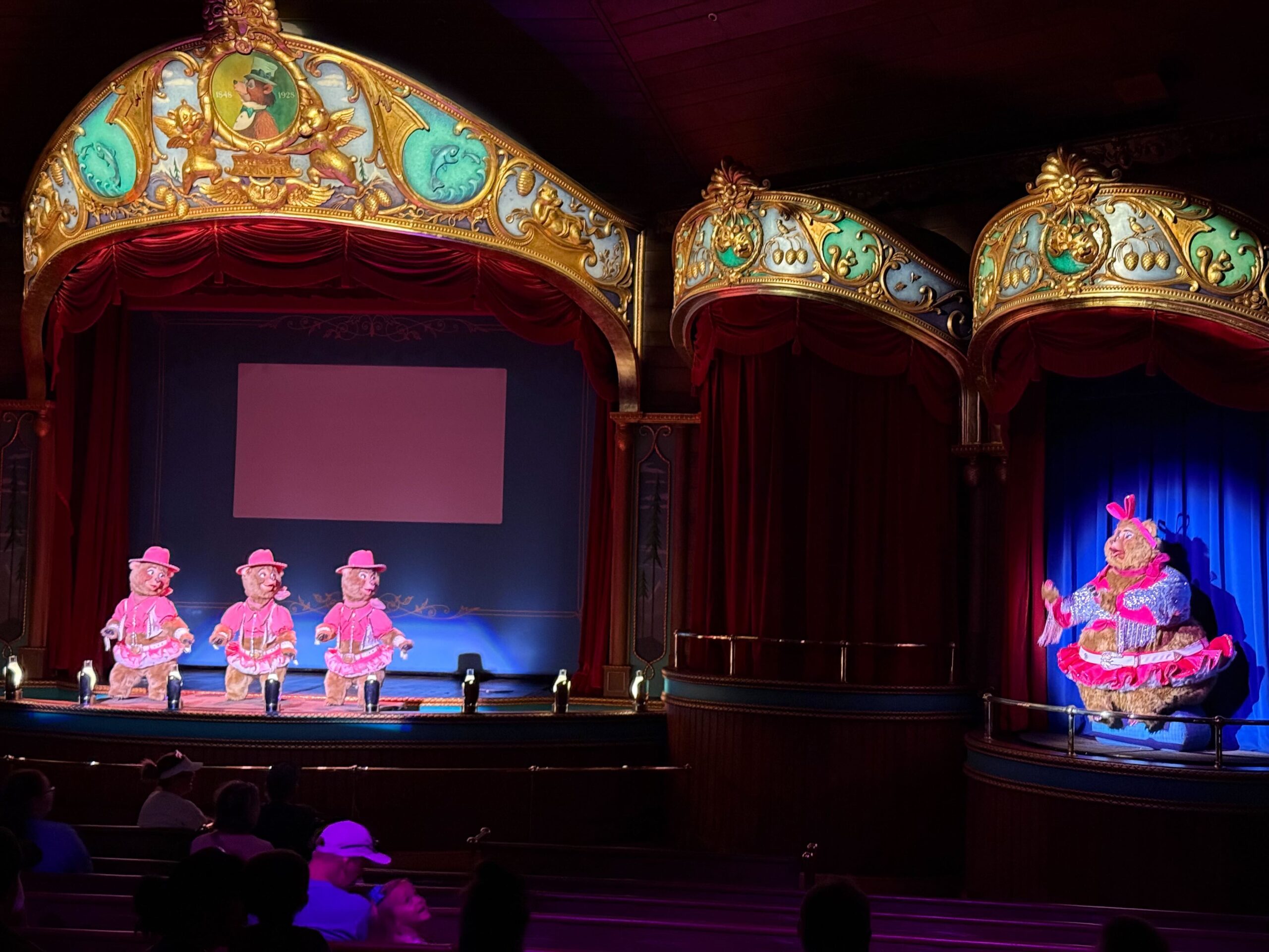 Projector Currently Not Working at Country Bear Musical Jamboree at ...