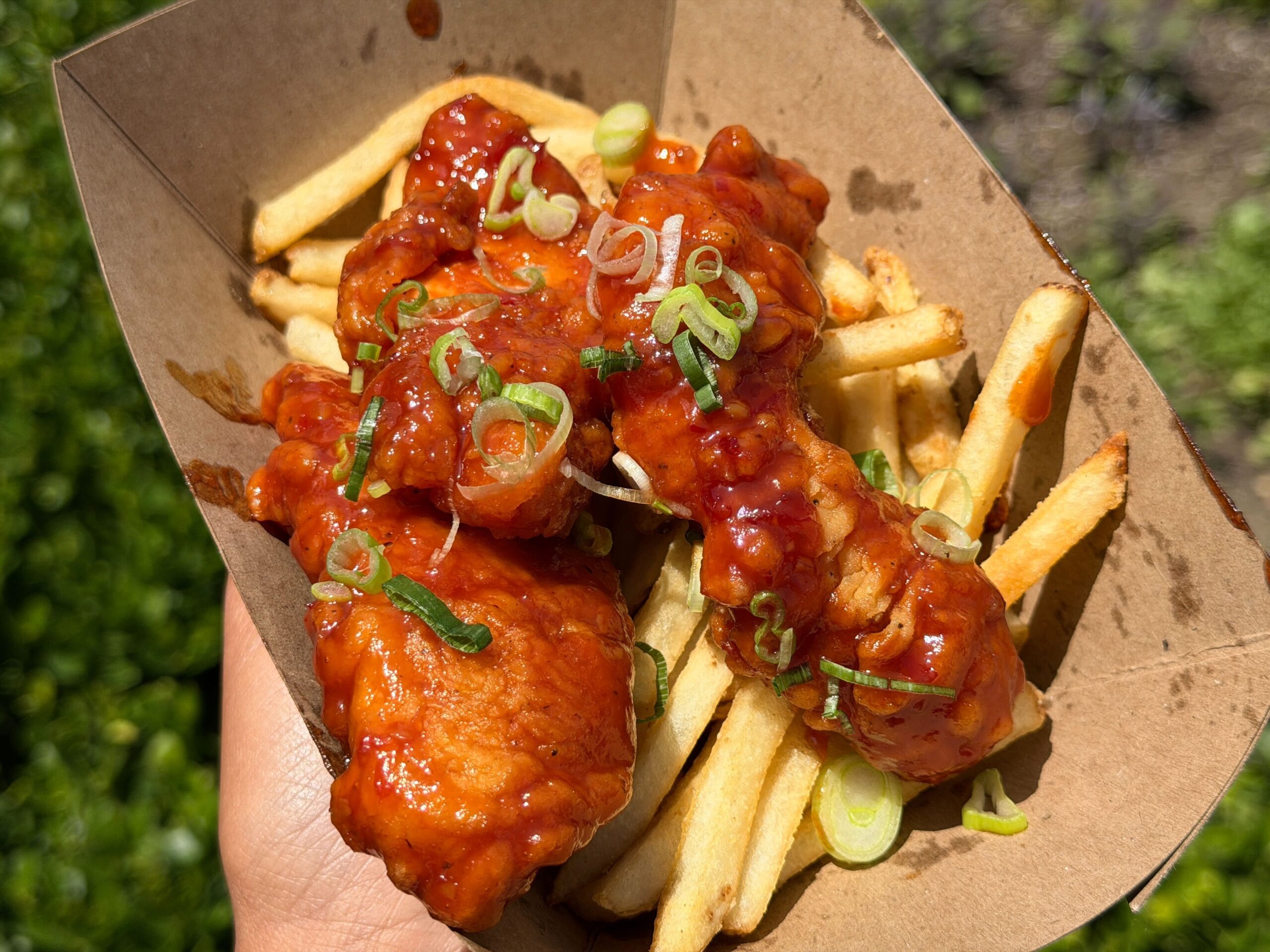 Chicken Tenders tossed in a tangy Hawaiian-inspired BBQ Sauce garnished with Green Onions and served with French Fries