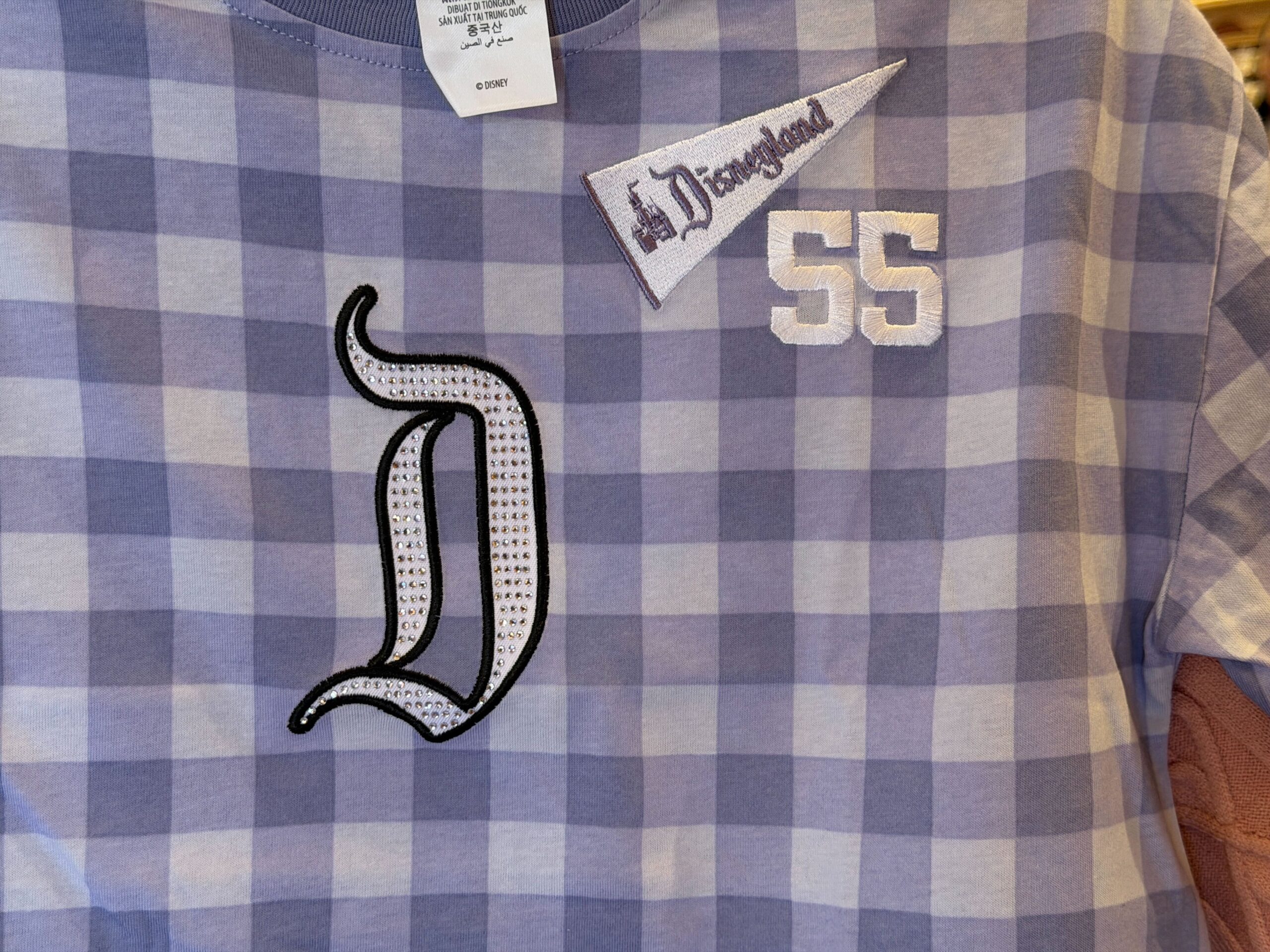 Close-up of front of Disneyland 'D' T-Shirt.