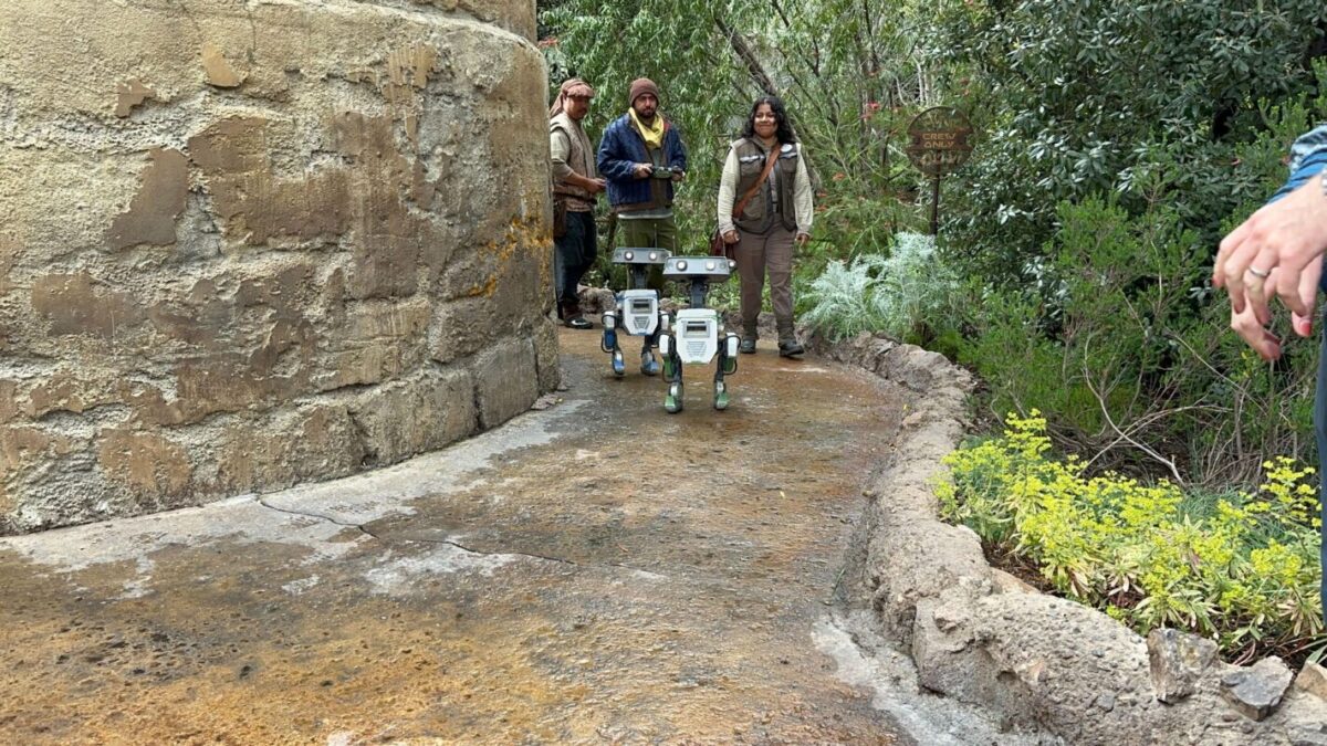 Droids appearing at Disneyland in 2024.