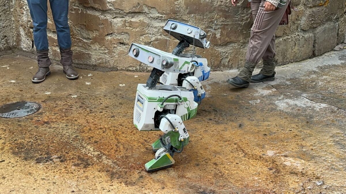 Droids appearing at Disneyland in 2024.