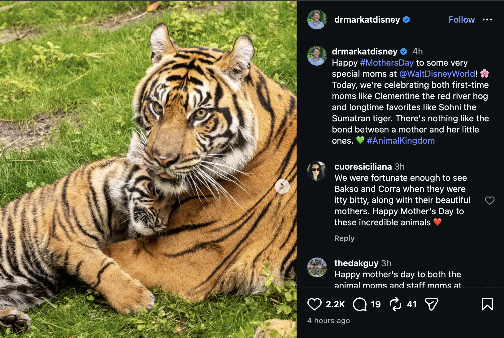Disney Celebrates Mother’s Day with Heartfelt Tributes Across Social Media