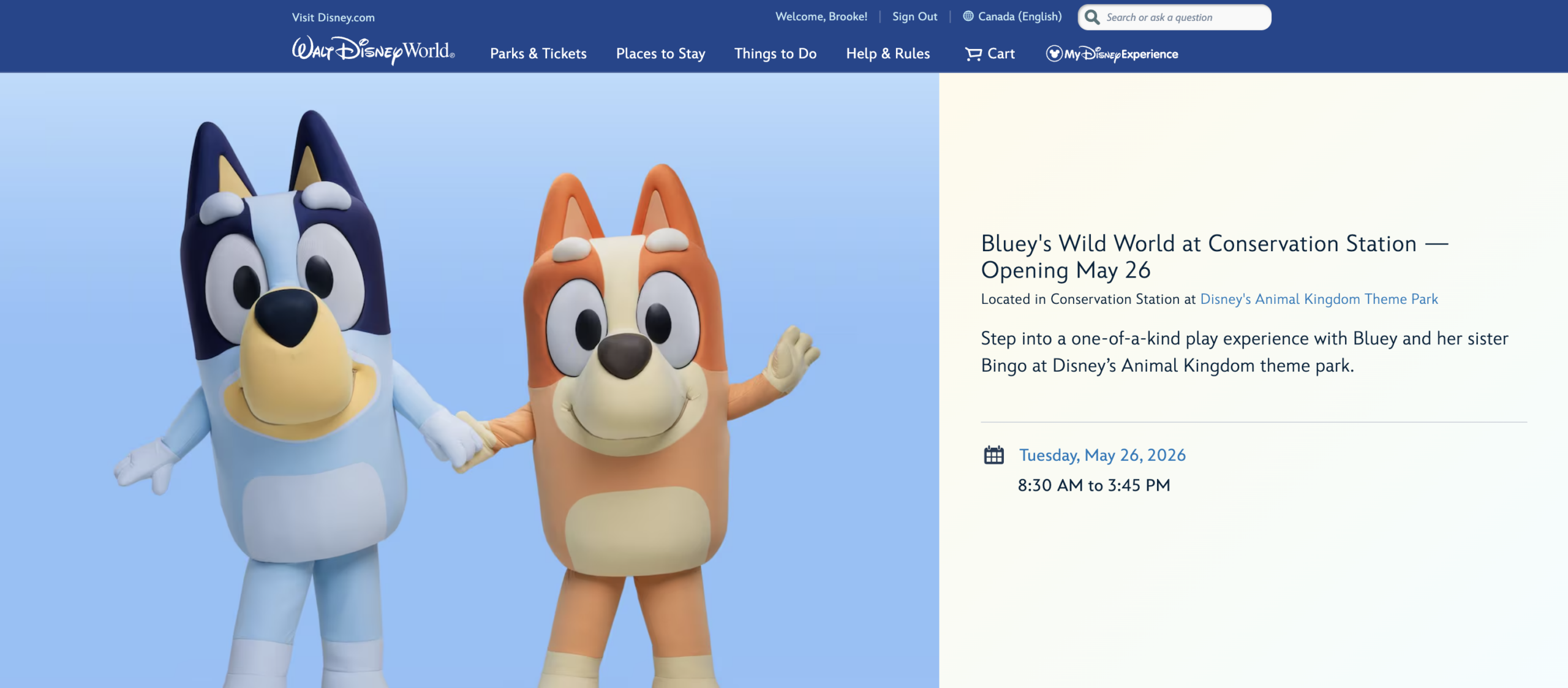 Walt Disney World has posted the operating hours for the opening day of Bluey’s Wild World at Animal Kingdom.