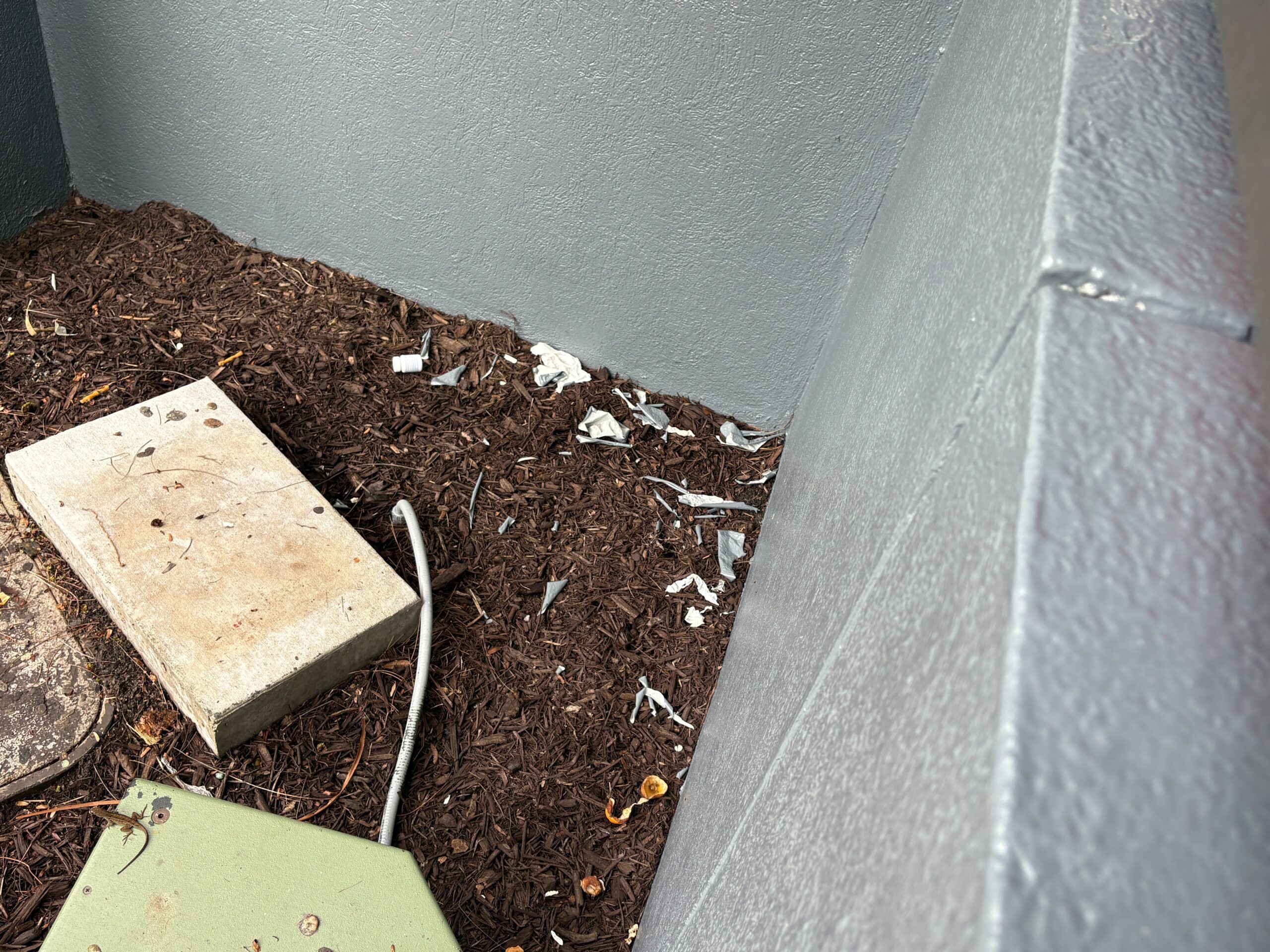 We saw more peeled paint in various areas around the outside edges of the queue.
