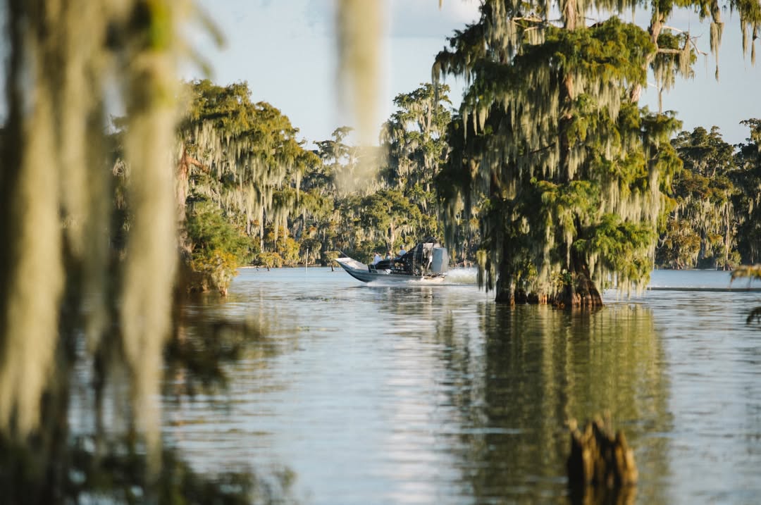 He said they spent a month traveling throughout the southern United States to look at all the swamps. But they decided on filming Lake Martin in Lafayette, Louisiana.