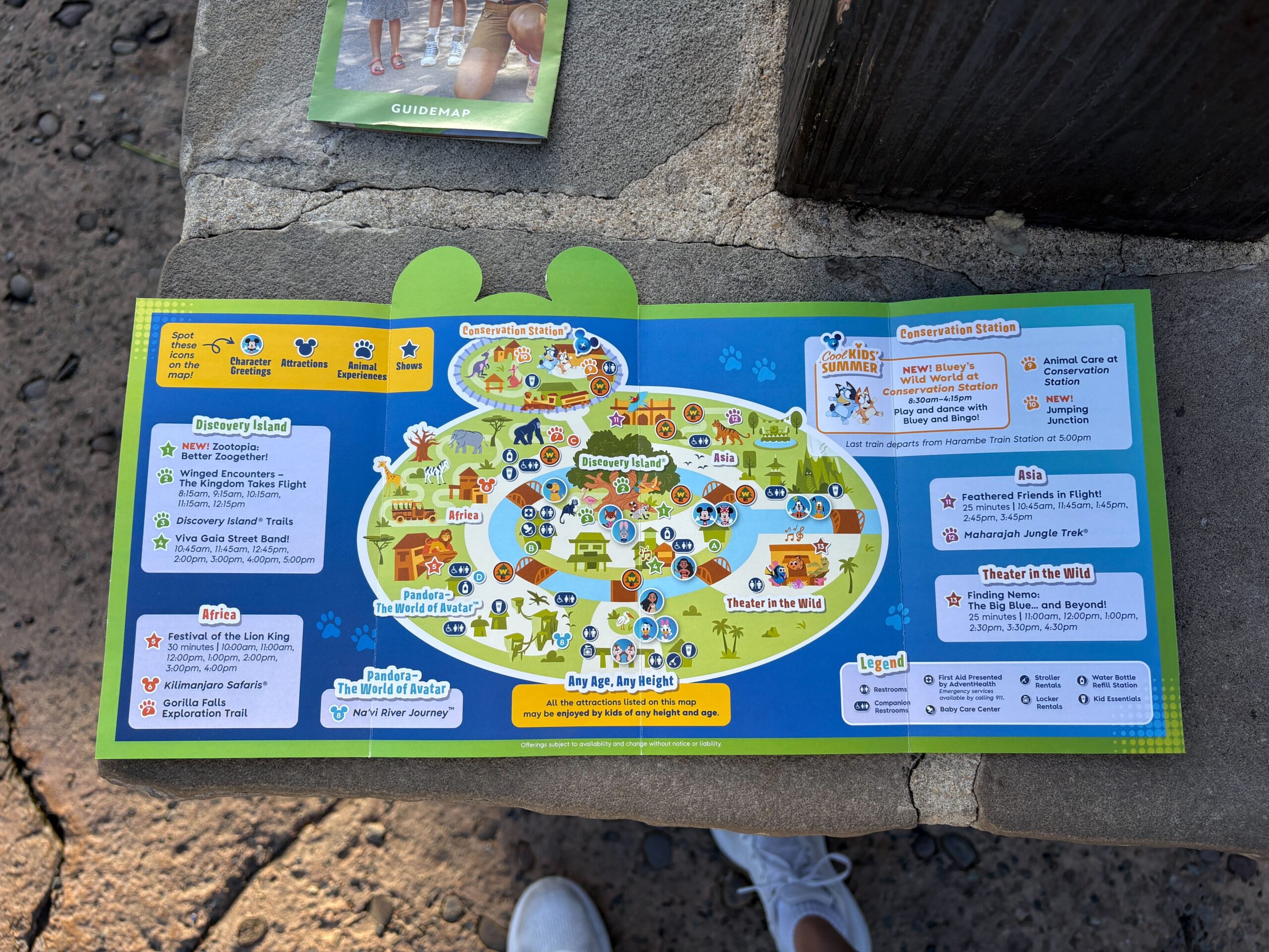 Cool Kids' Summer has officially started, and the 2026 map for Animal Kingdom has debuted.