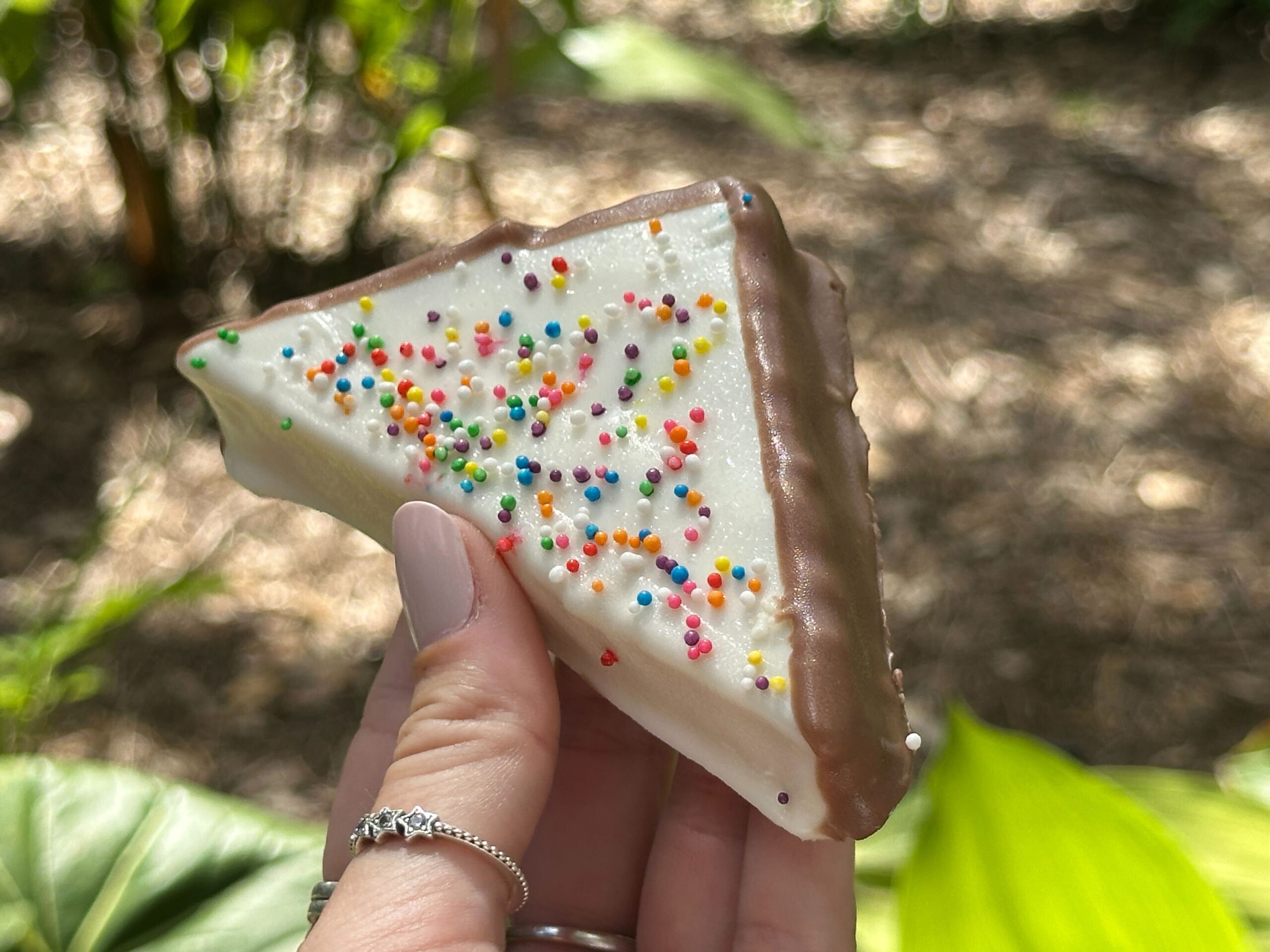 Vanilla Birthday Cake dipped in White Chocolate and Rainbow Sprinkles with Raspberry Dipping Sauce