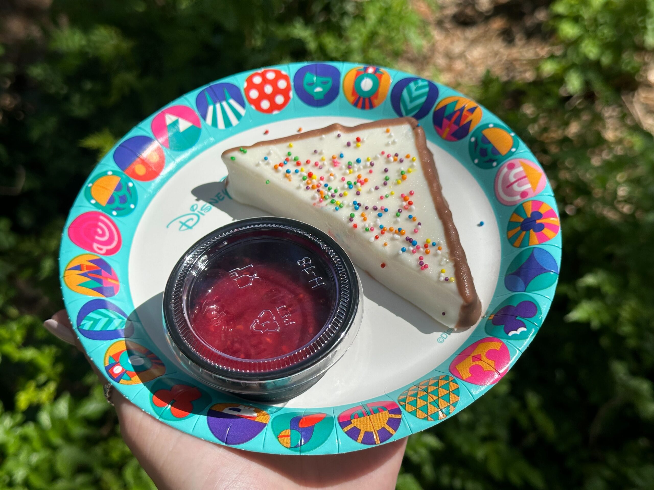 Vanilla Birthday Cake dipped in White Chocolate and Rainbow Sprinkles with Raspberry Dipping Sauce