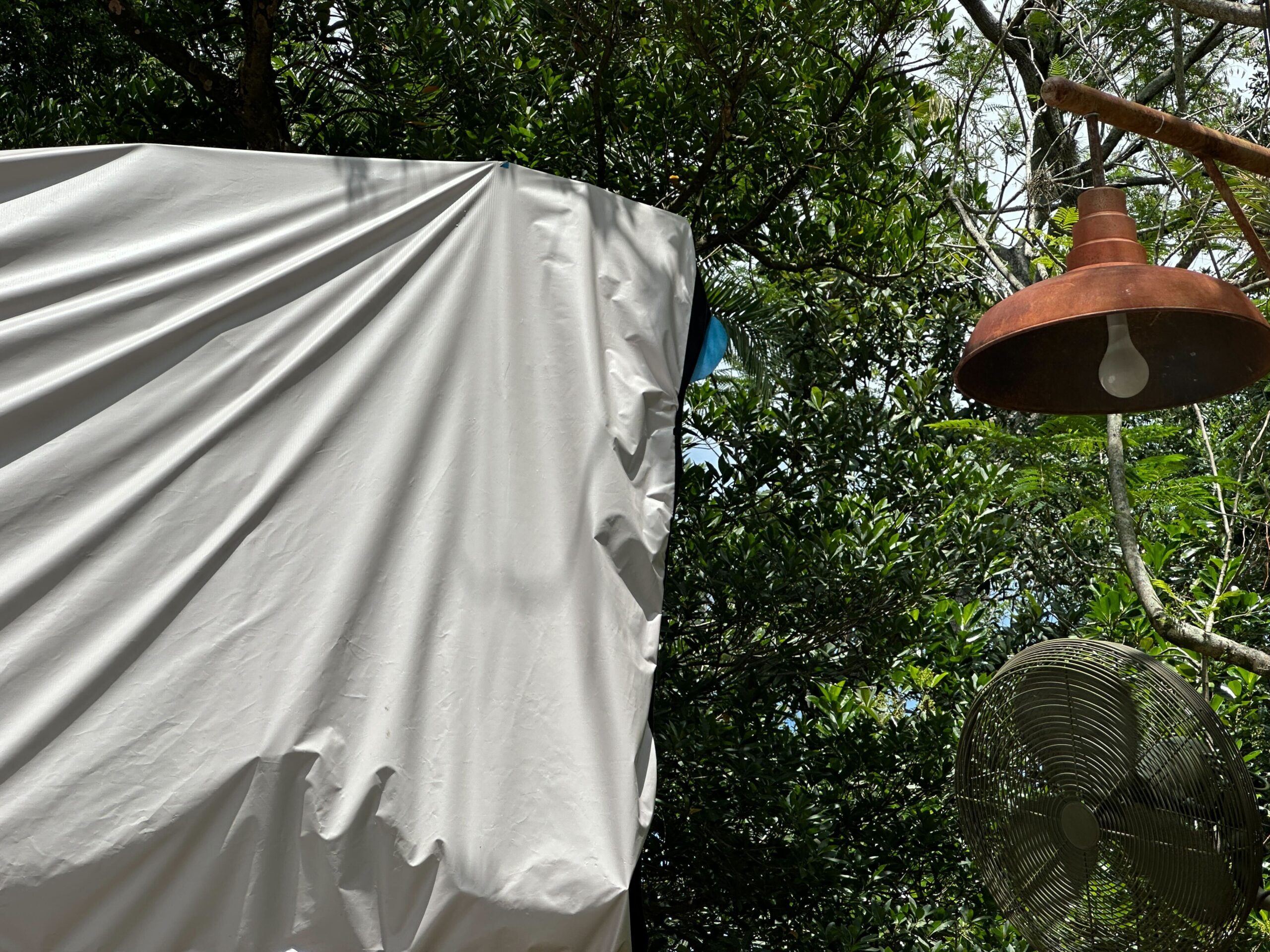 Bluey Visible on Conservation Station Sign at Disney's Animal Kingdom