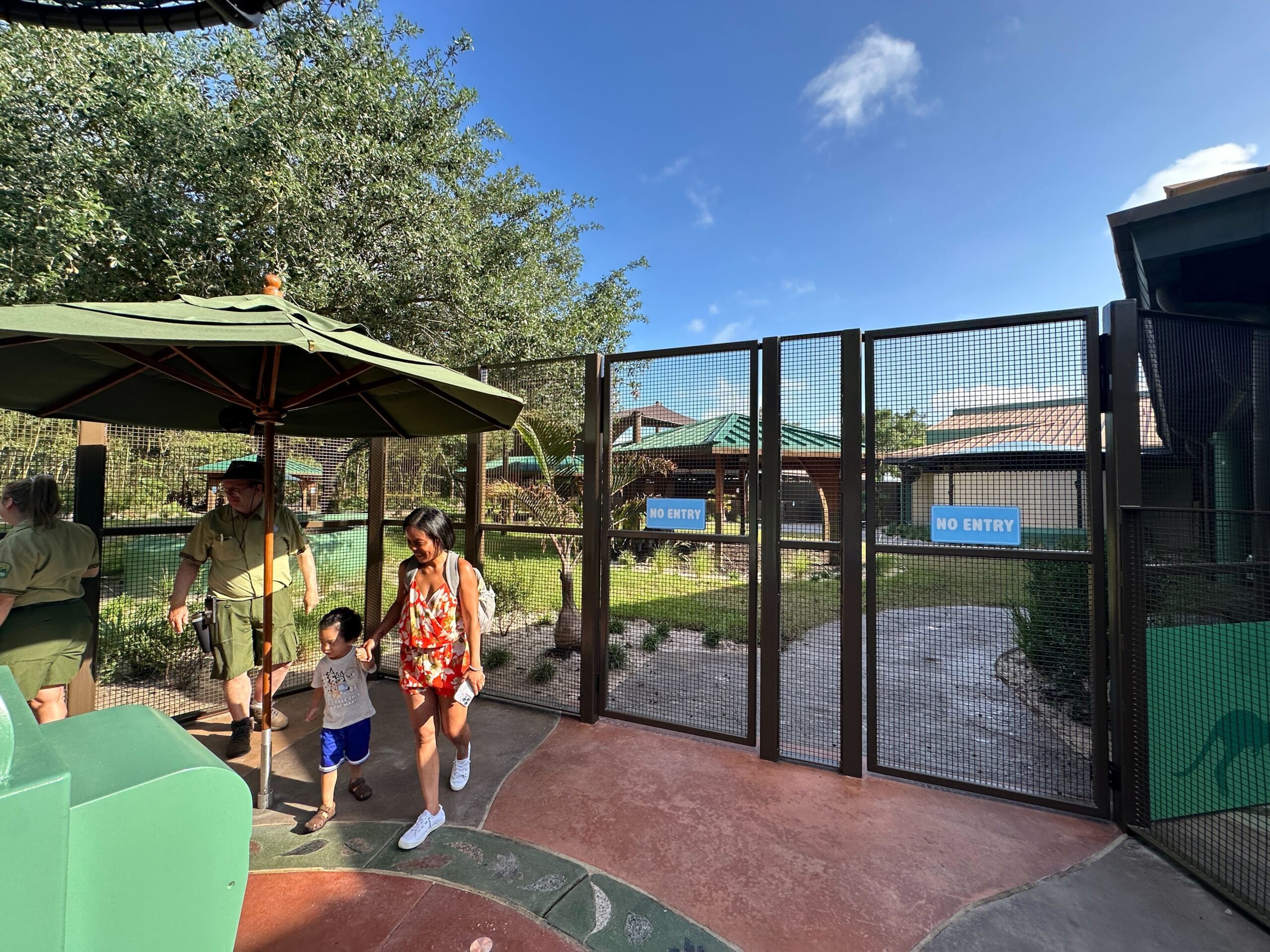 Jumping Junction Walkthrough Still Delayed as Animals Continue to Acclimate at Bluey's Wild World