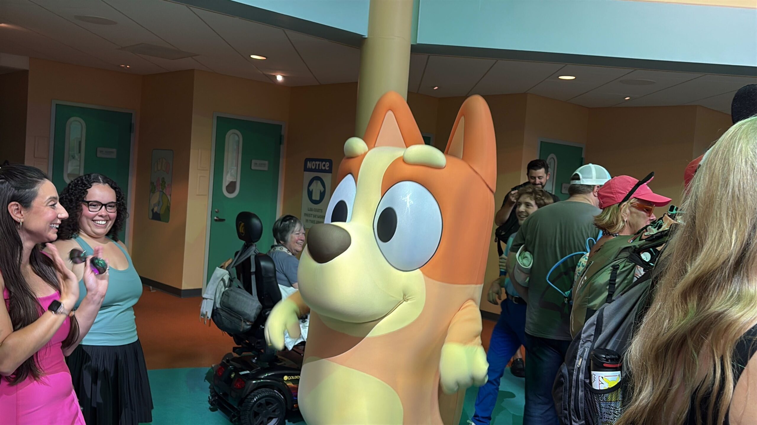 Full Play Experience With Bluey and Bingo at Bluey's Wild World in Disney's Animal Kingdom