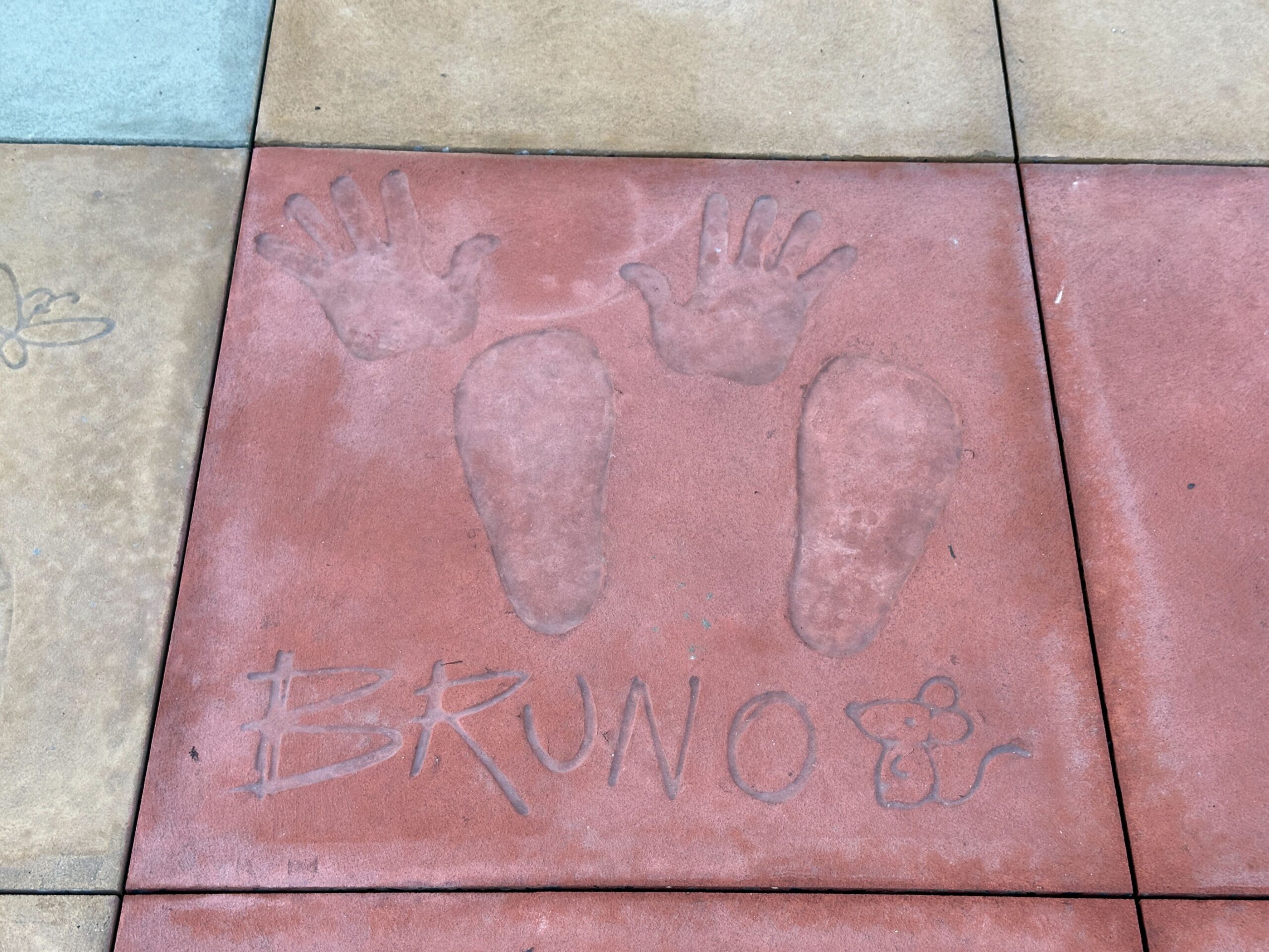 Pavement near The Magic of Disney Animation features character autographs and handprints. Again, many characters across several of Disney's most beloved films are represented here.