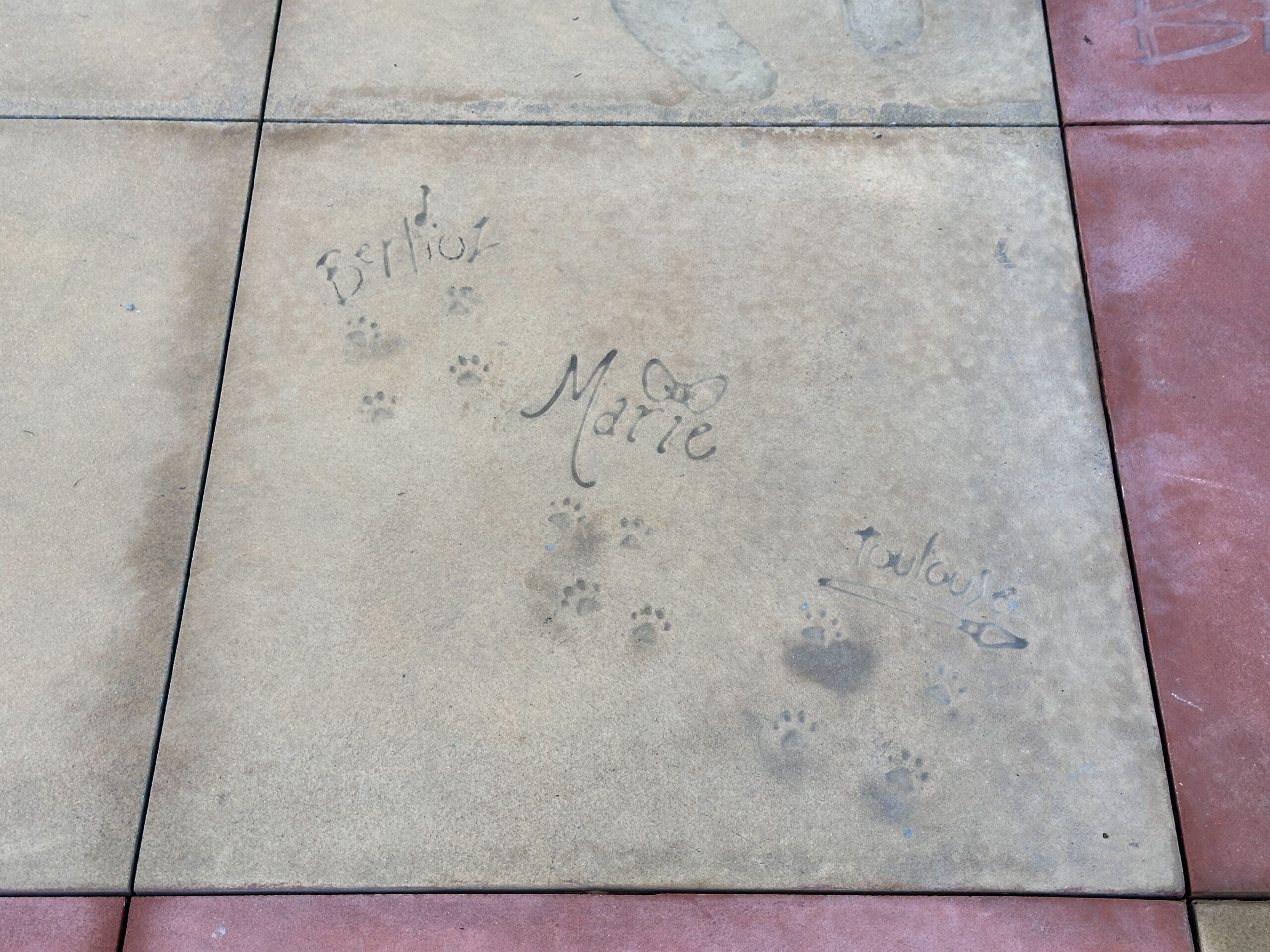 Pavement near The Magic of Disney Animation features character autographs and handprints. Again, many characters across several of Disney's most beloved films are represented here.