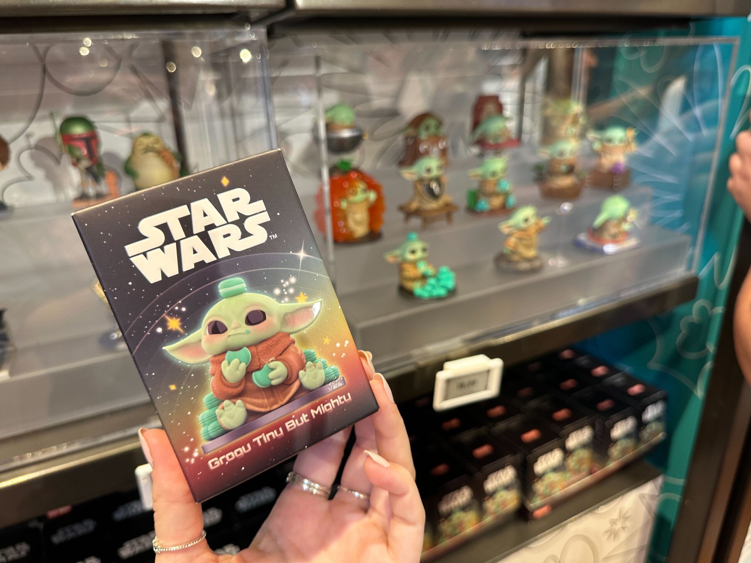 Grogu 'Tiny But Mighty' Mystery Box.