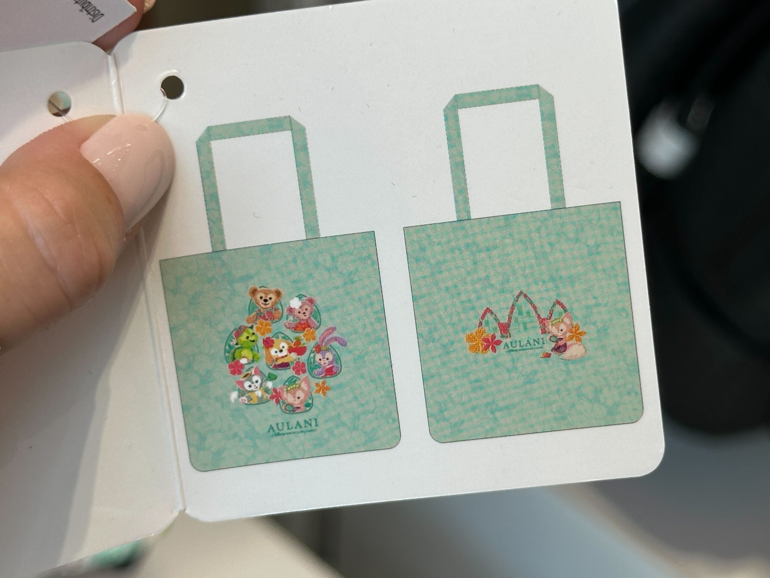 The tote inside is aqua-colored with an all-over tropical pattern. On one side is the art from the sweatshirt of Duffy and Friends. On the reverse is the Aulani skyline with LinaBell.