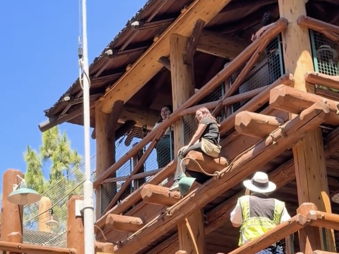 A child’s unsafe climb onto the outside of a Disney California Adventure structure prompted a security response in a video shared online.