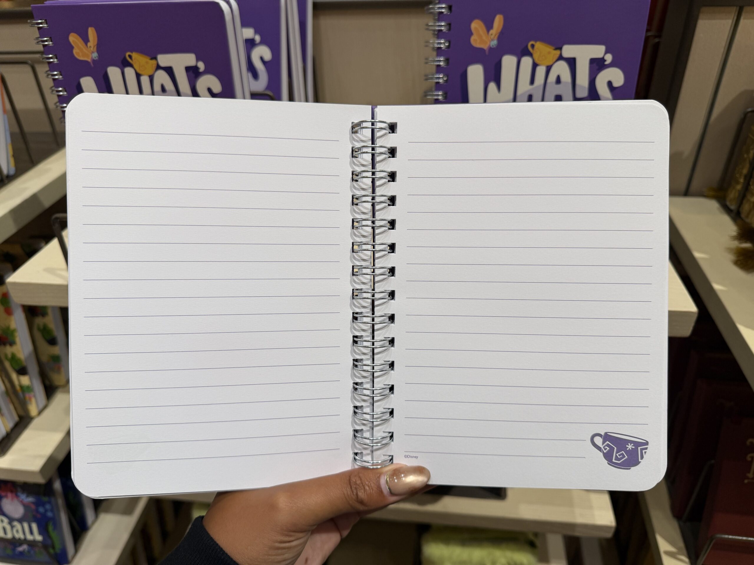 Disney Home Goods, Drinkware, Notebooks and More Arrive at Disneyland Resort