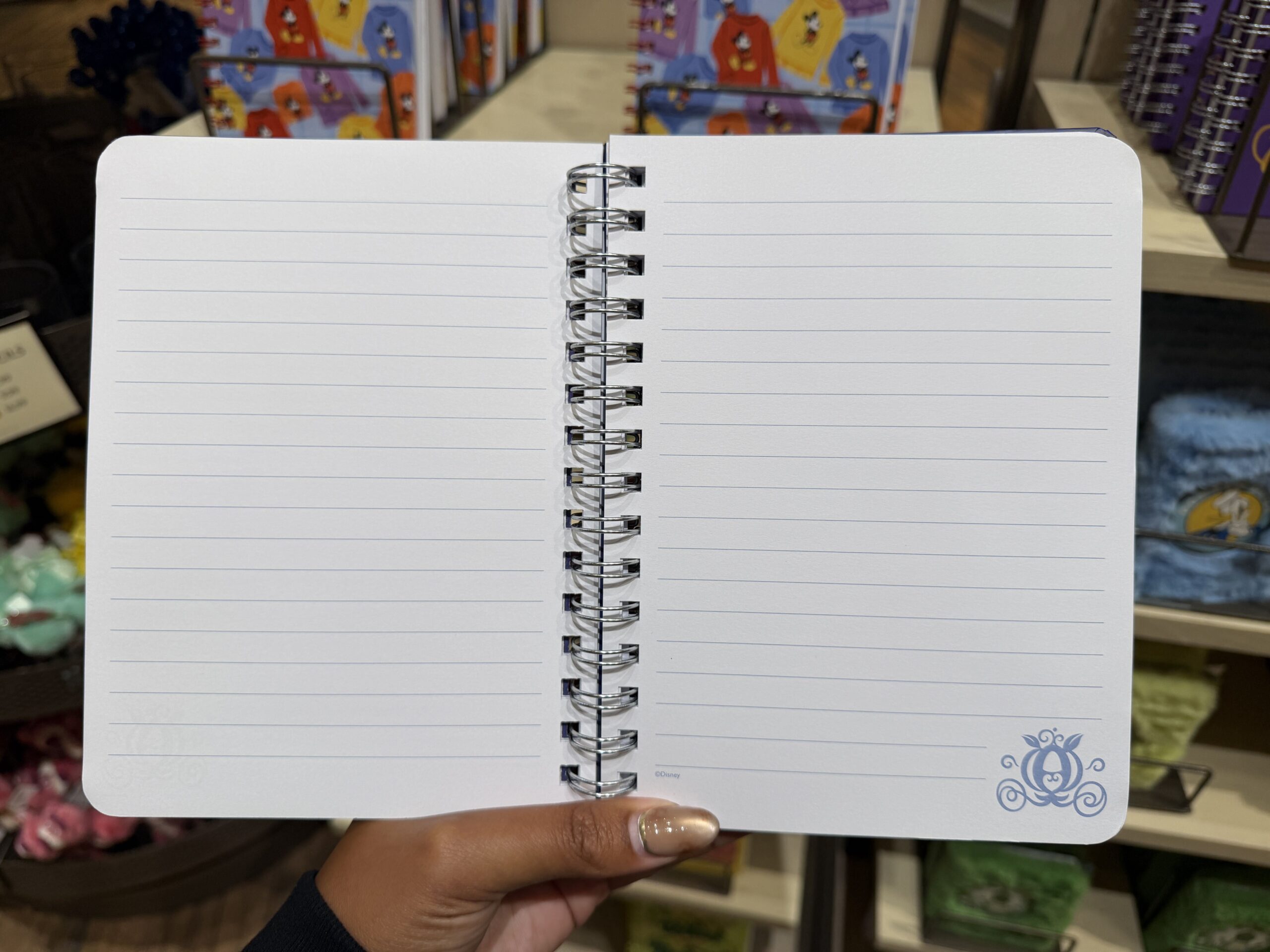 Disney Home Goods, Drinkware, Notebooks and More Arrive at Disneyland Resort
