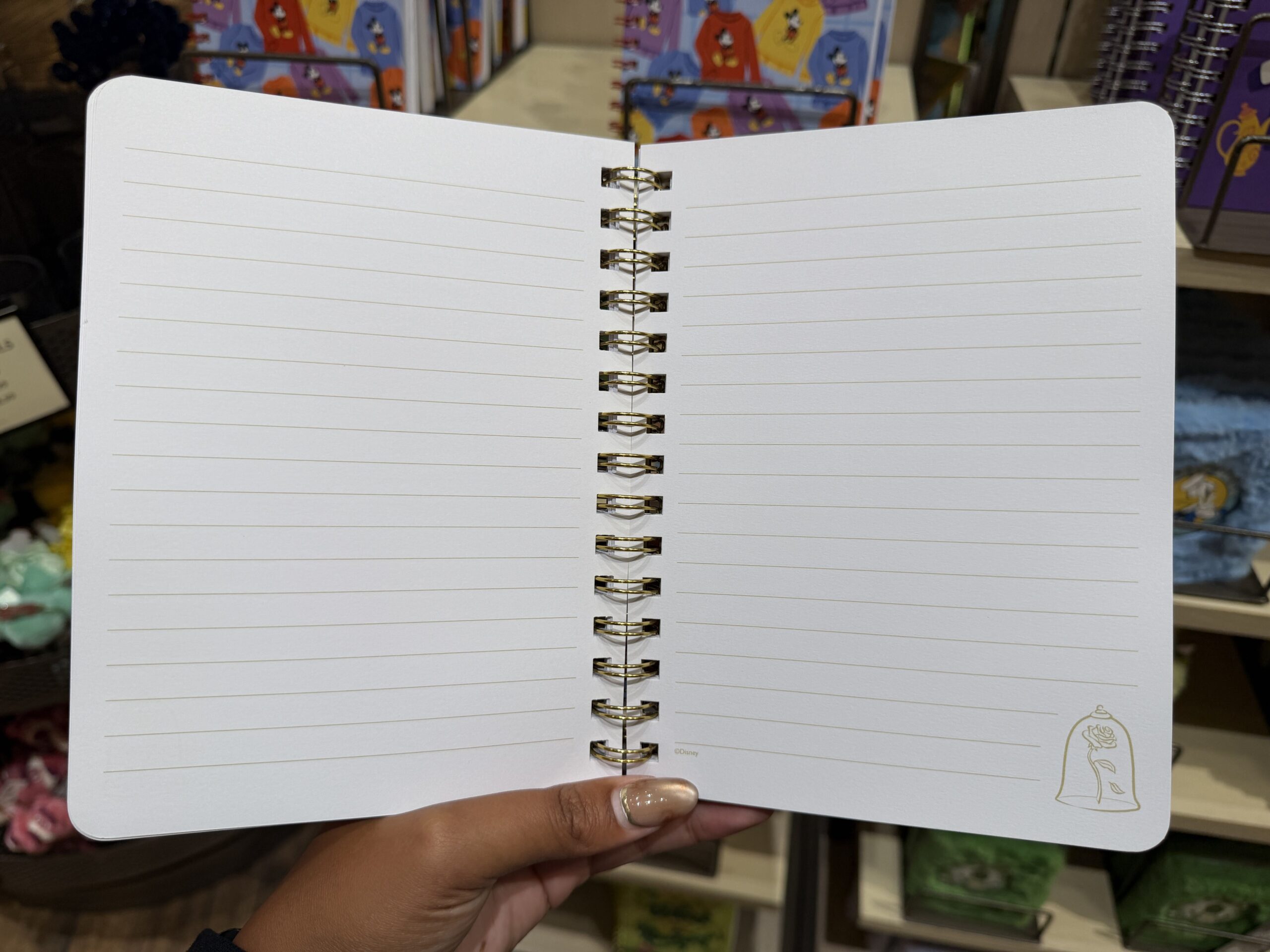 Disney Home Goods, Drinkware, Notebooks and More Arrive at Disneyland Resort