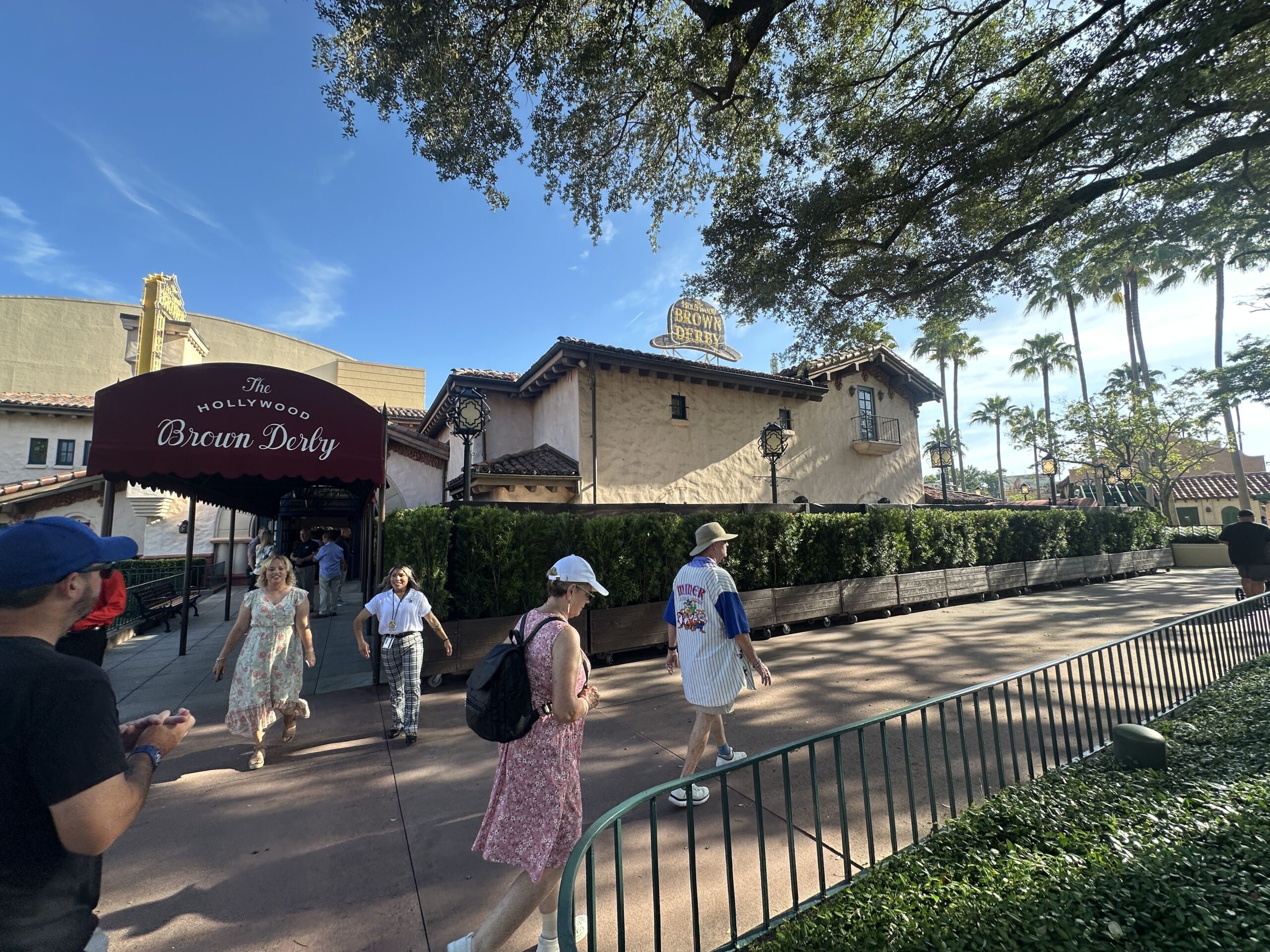 The Hollywood Brown Derby at Disney's Hollywood Studios is apparently getting an exterior refurbishment. Rolling planters and scrim have gone up around the patio.