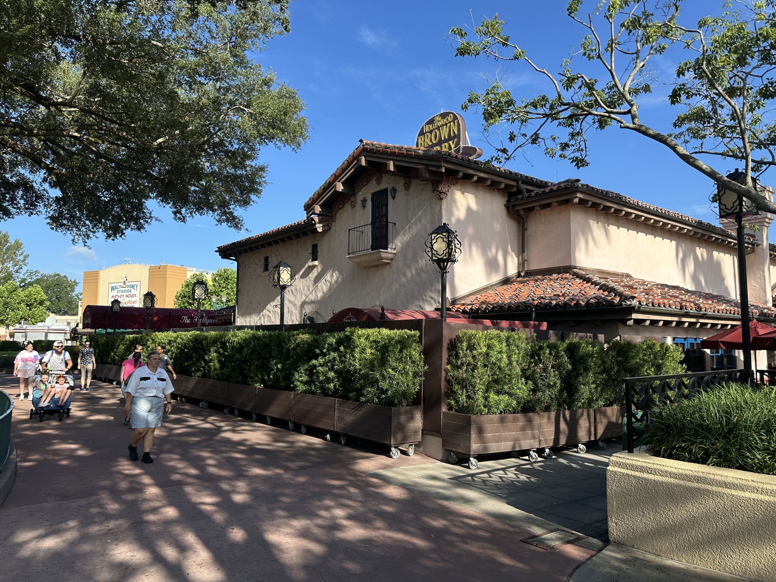 The Hollywood Brown Derby at Disney's Hollywood Studios is apparently getting an exterior refurbishment. Rolling planters and scrim have gone up around the patio.