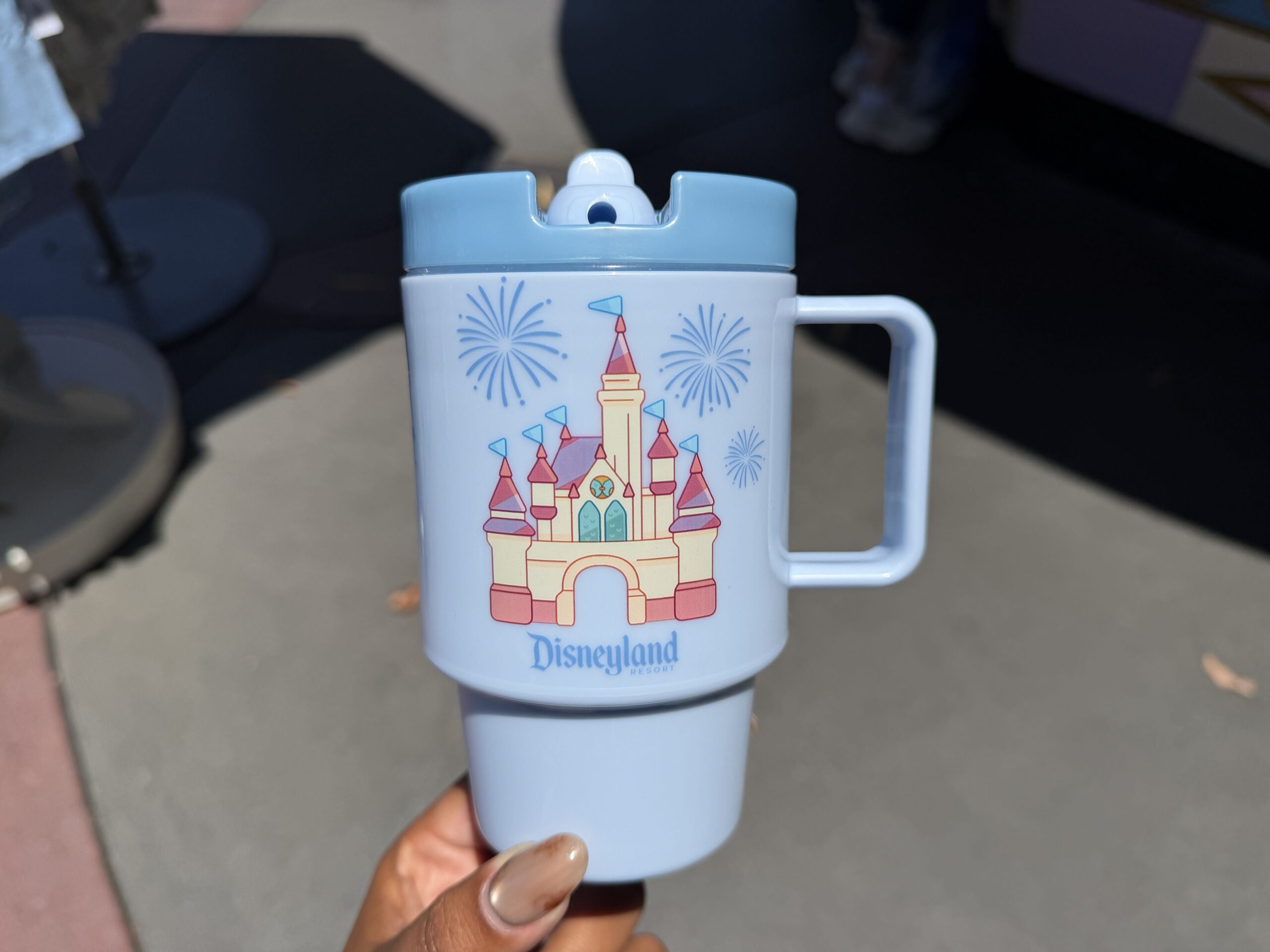An image of Bluey and Bingo running amidst bubbles is on the side. The other side has an image of the Fantasyland castle made of building blocks. Behind it are fireworks, and underneath it is the Disney World wordmark. The Disney Parks x Bluey logo is in between the images.