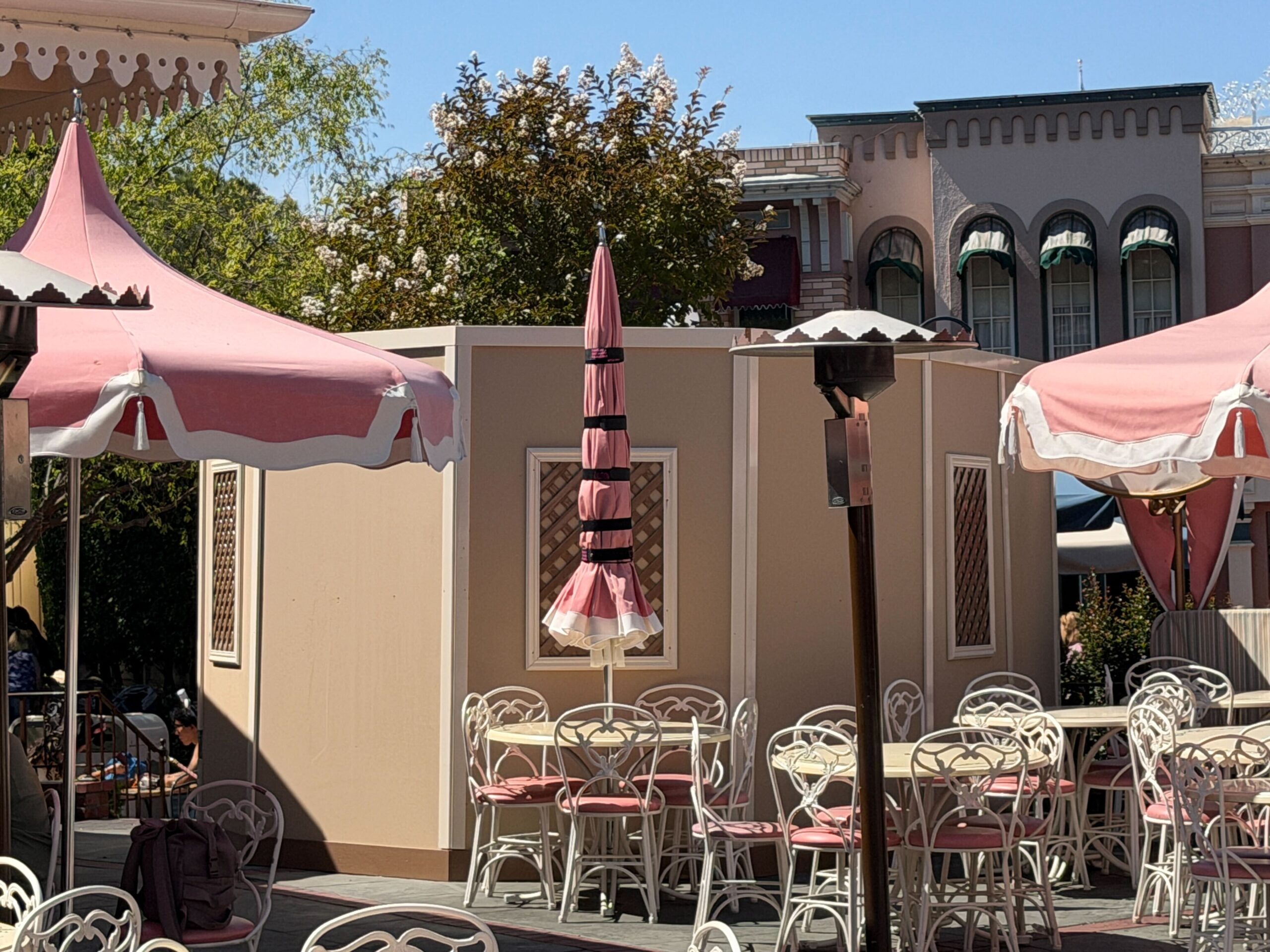 New tree outside of Plaza Inn Restaurant obscured by walls.