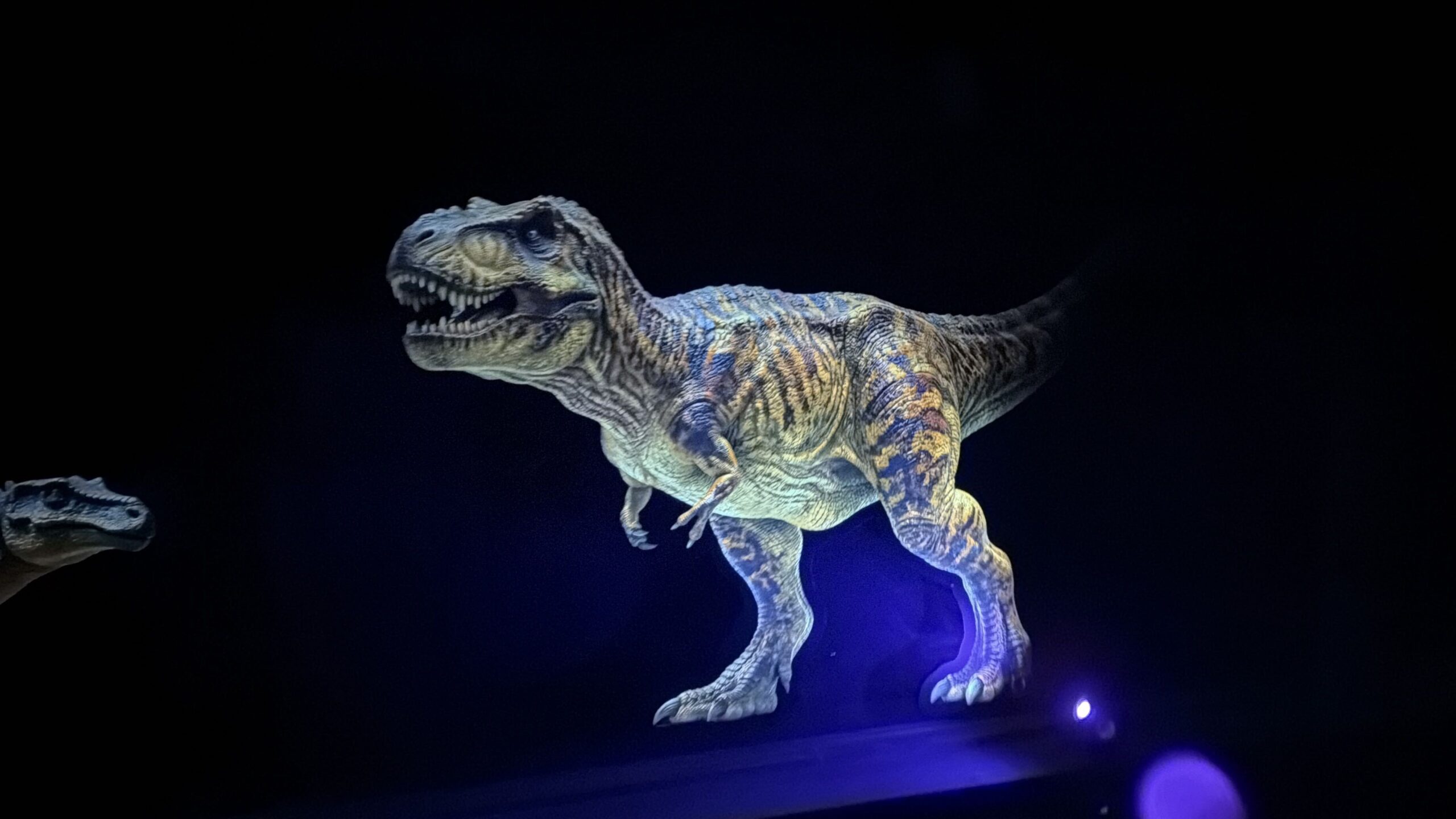 The Primeval World section of Disneyland Railroad usually has a diorama of audio-animatronic dinosaurs in it. But during this current refurbishment, they have been replaced with cutouts as seen above.