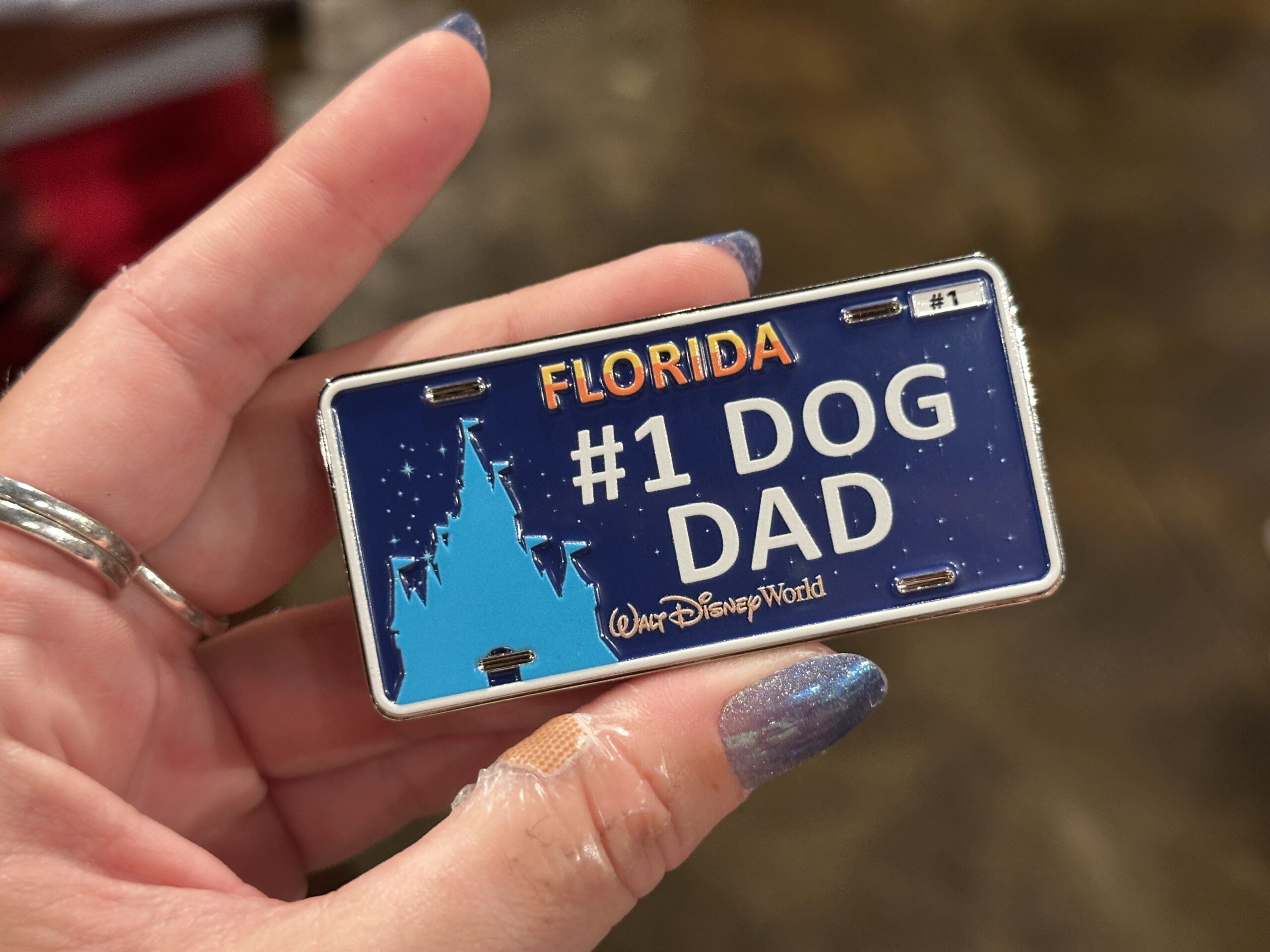 This license plate with the Walt Disney World wordmark and Cinderella Castle branding says "Florida" at the top. A navy blue background dotted with twinkling stars is behind the customization that reads "#1 Dog Dad."