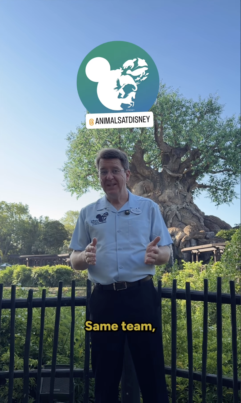The social media account previously operated by former Disney executive Dr. Mark Penning is entering a new chapter.