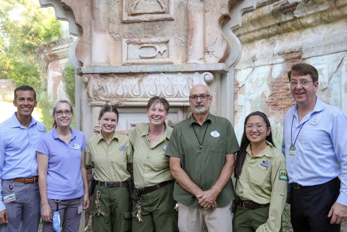 The social media account previously operated by former Disney executive Dr. Mark Penning is entering a new chapter.