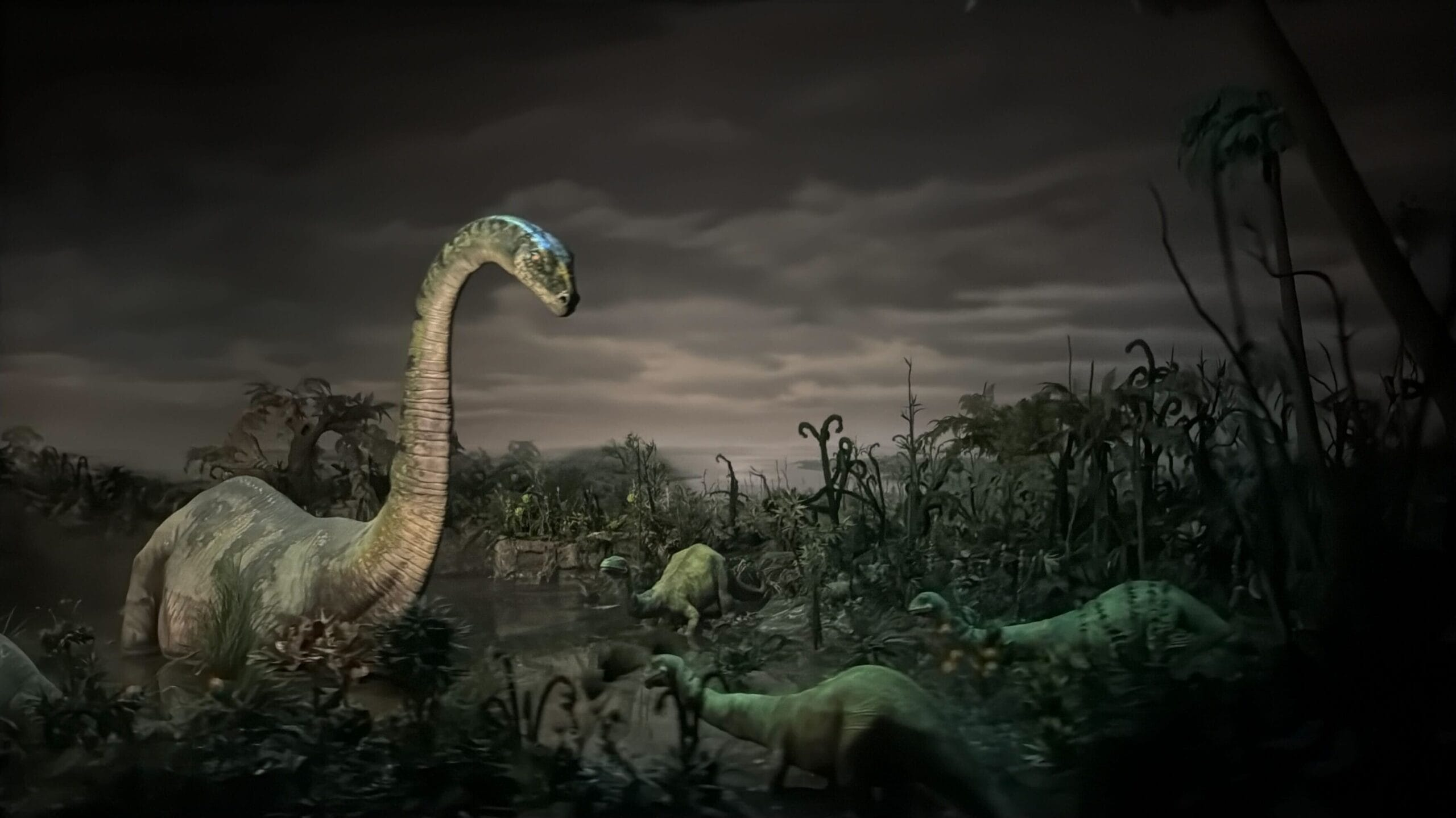 Above is an example of what the diorama used to look like.