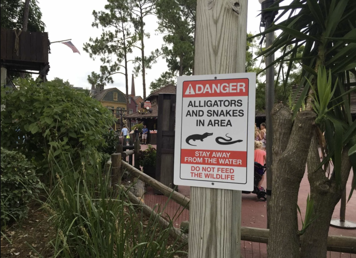In addition to these removal efforts, Disney has also constructed barriers and other means to keep alligators from getting too close to guests. Fencing, boulder walls, and warning signs can be seen around Seven Seas Lagoon at the Grand Floridian, where Lane was killed, as well as around other areas of Disney property that are close to the water. In addition, Cast Members receive reinforced training.