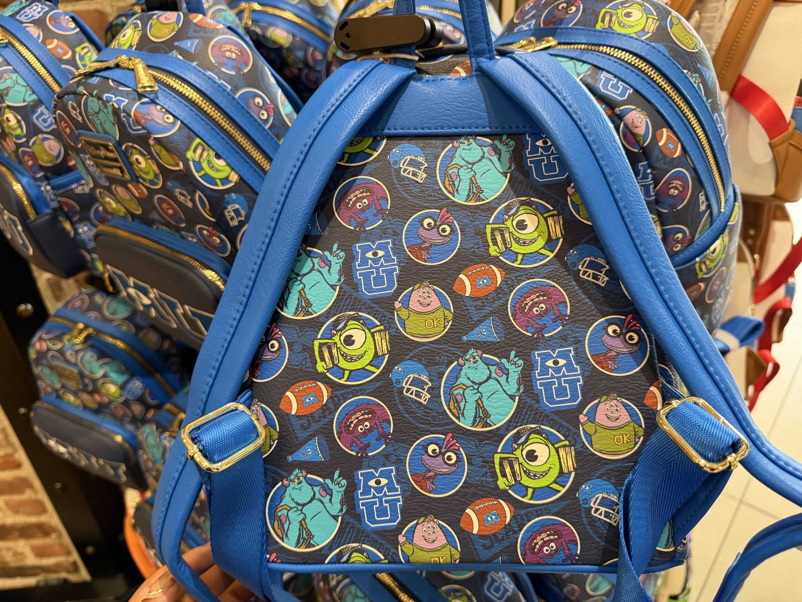 The same pattern on the front follows around to the back, as well as the inside of the bag. While the two backpack straps are plain blue.