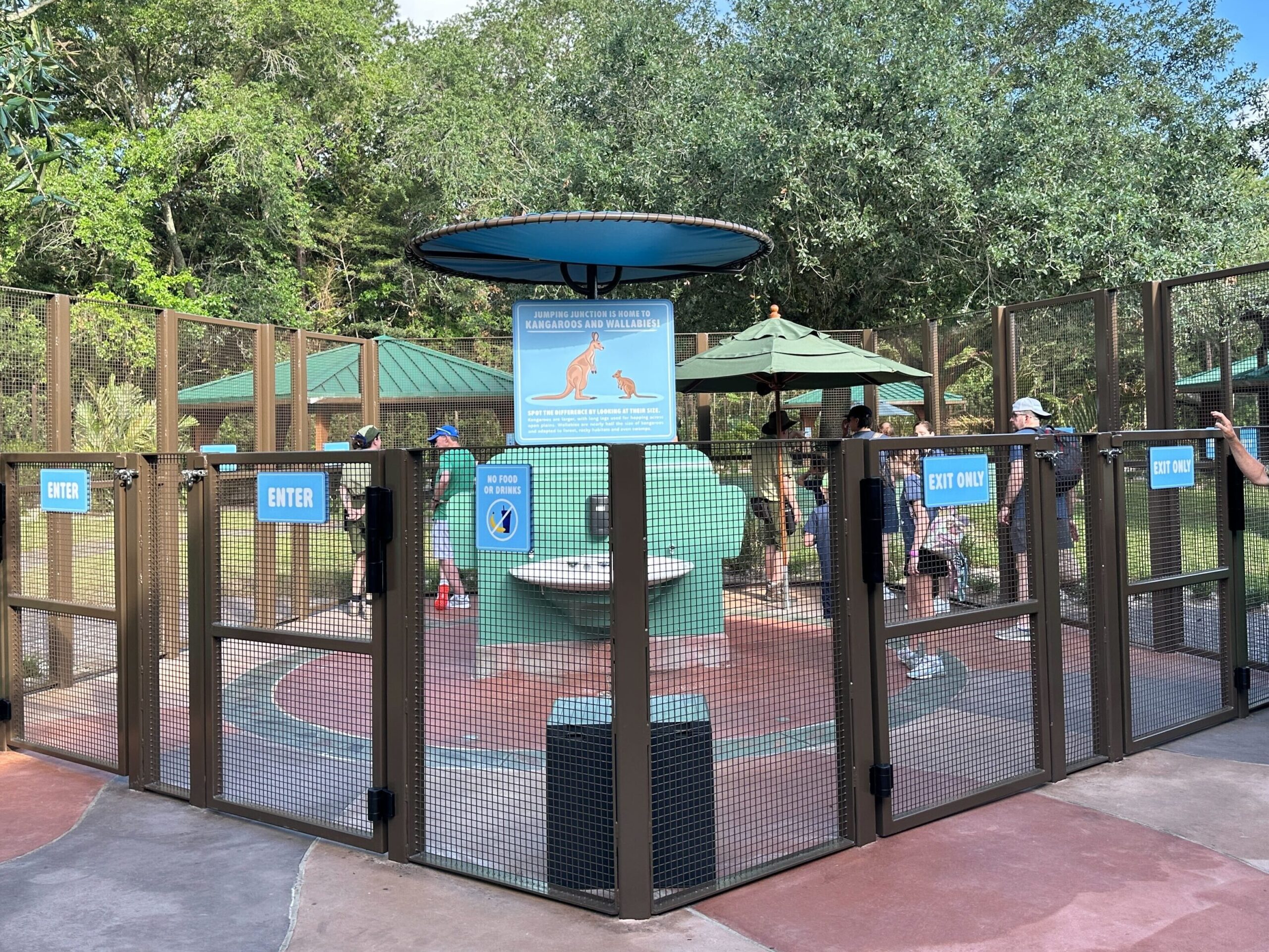Jumping Junction Walkthrough Still Delayed as Animals Continue to Acclimate at Bluey's Wild World