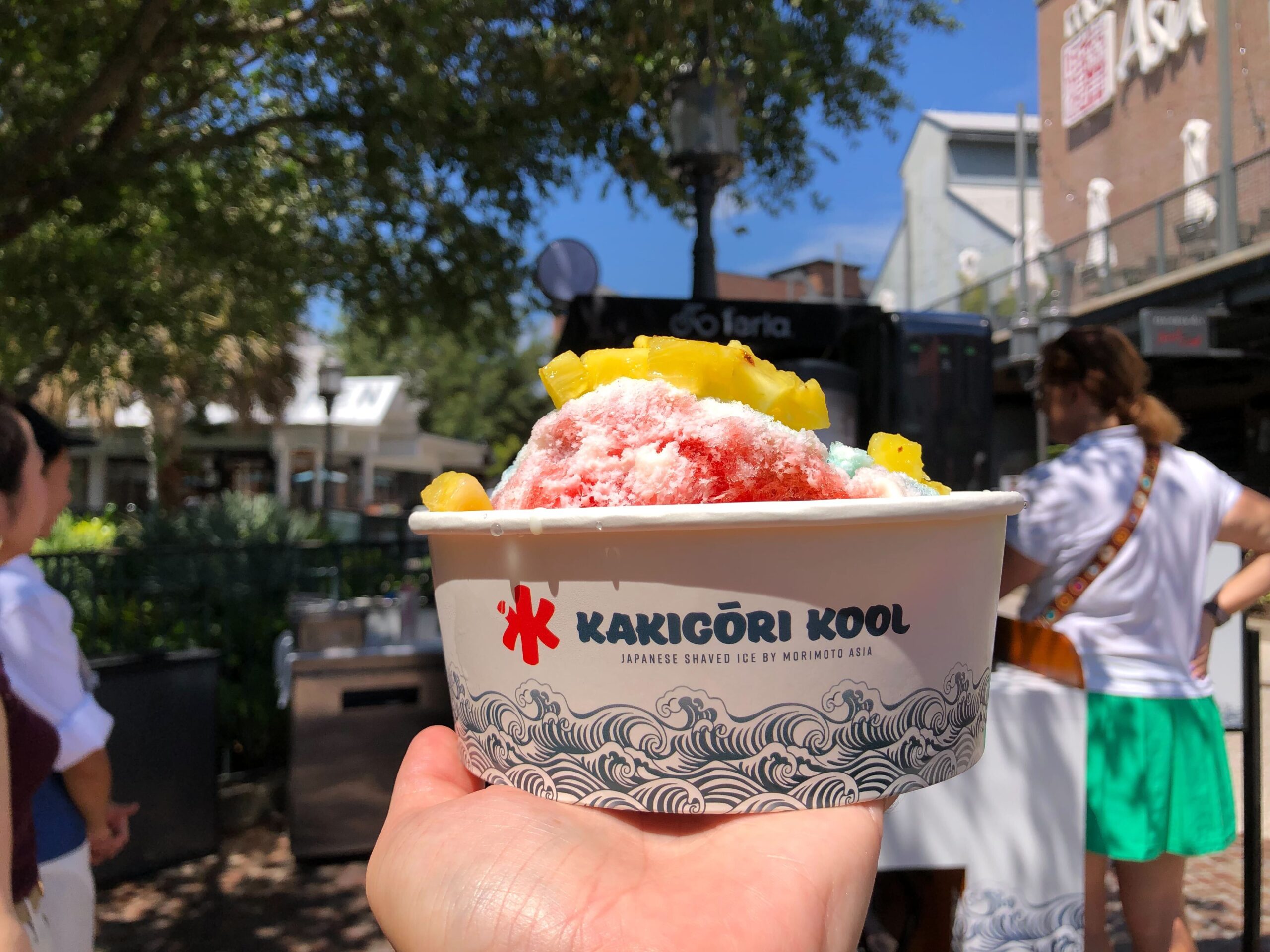 Signature shaved ice at Kakigōri Kool in Disney Springs